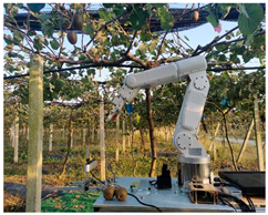 Agronomy 15 02499 i005