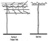 Agronomy 15 02499 i010