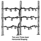 Agronomy 15 02499 i012