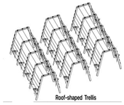 Agronomy 15 02499 i016