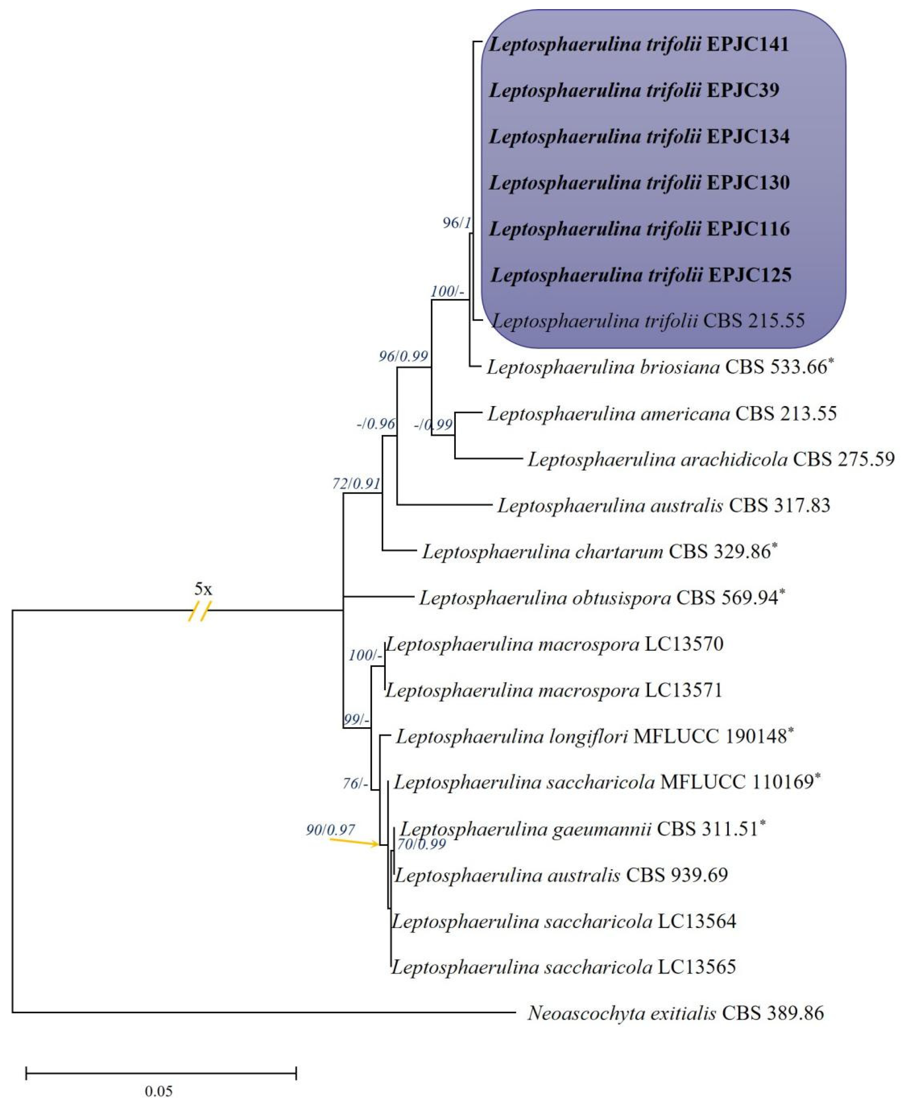 Agronomy 15 02502 g003 Agronomy 15 02502 g003