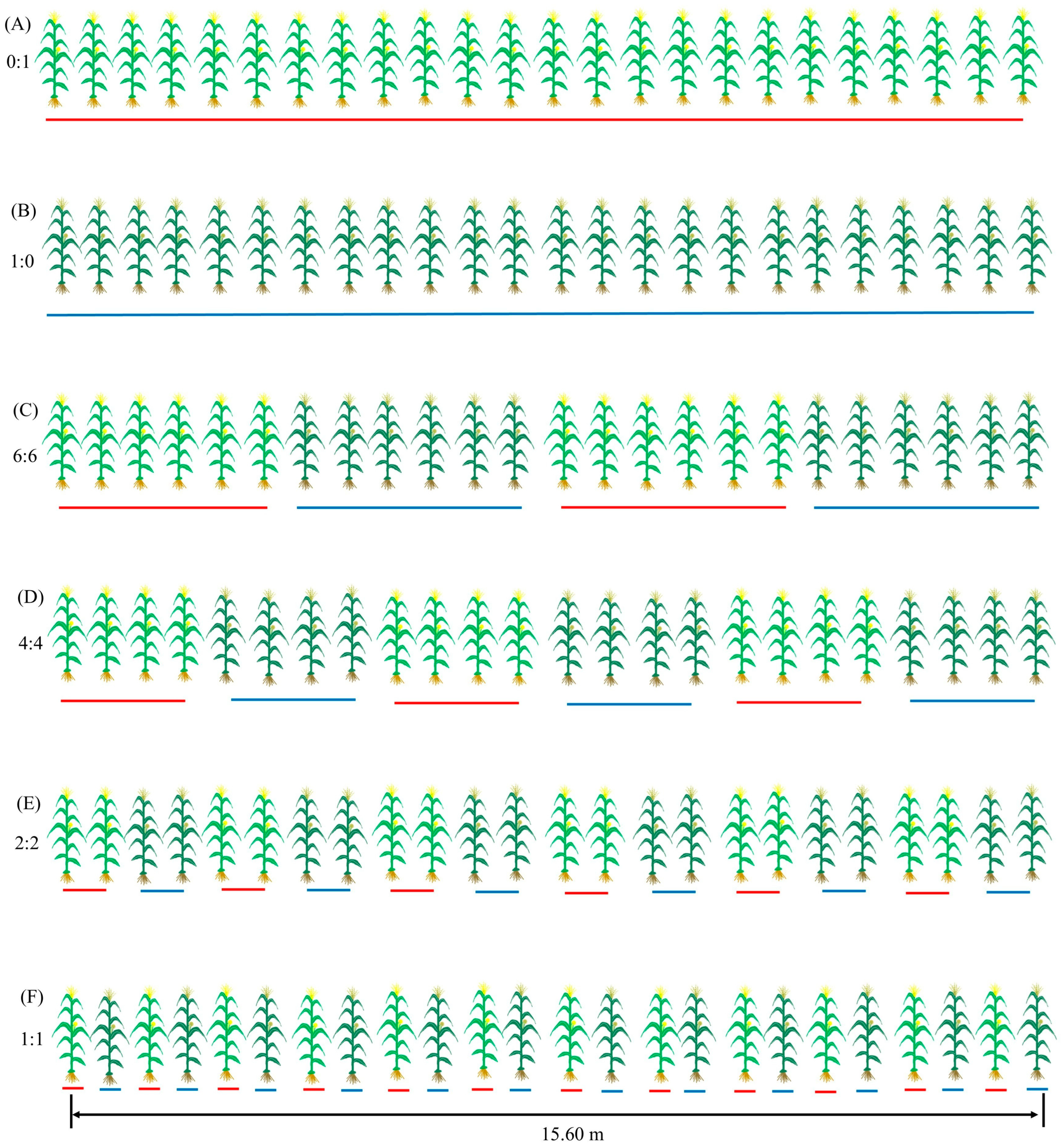 Agronomy 15 02505 g003