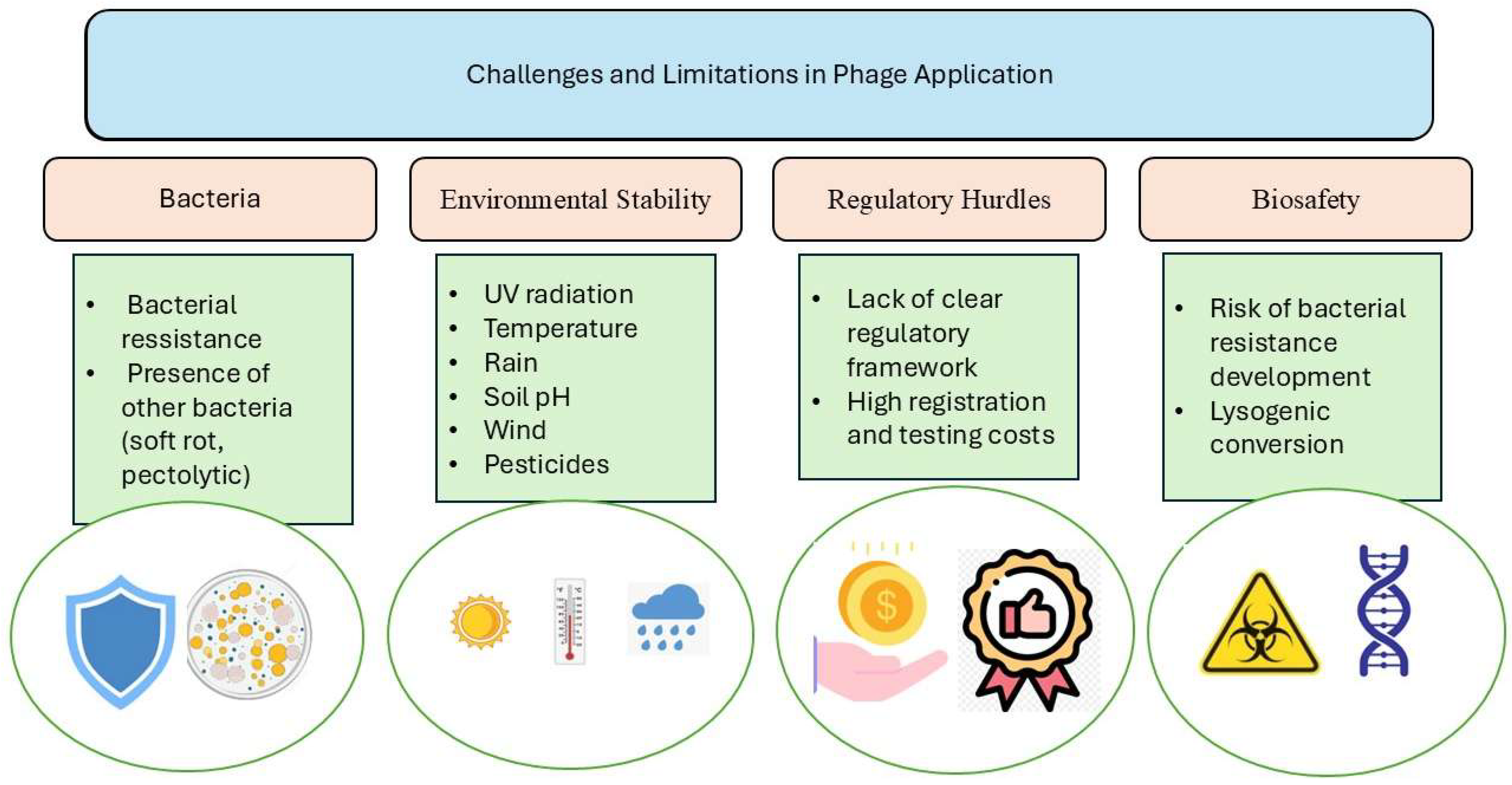 Agronomy 15 02507 g001 Agronomy 15 02507 g001
