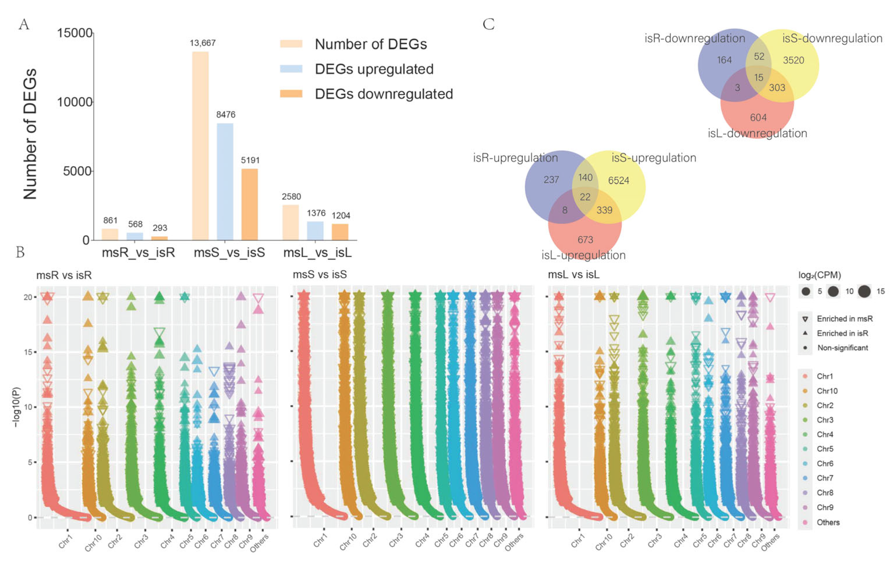 Agronomy 15 02510 g005 Agronomy 15 02510 g005