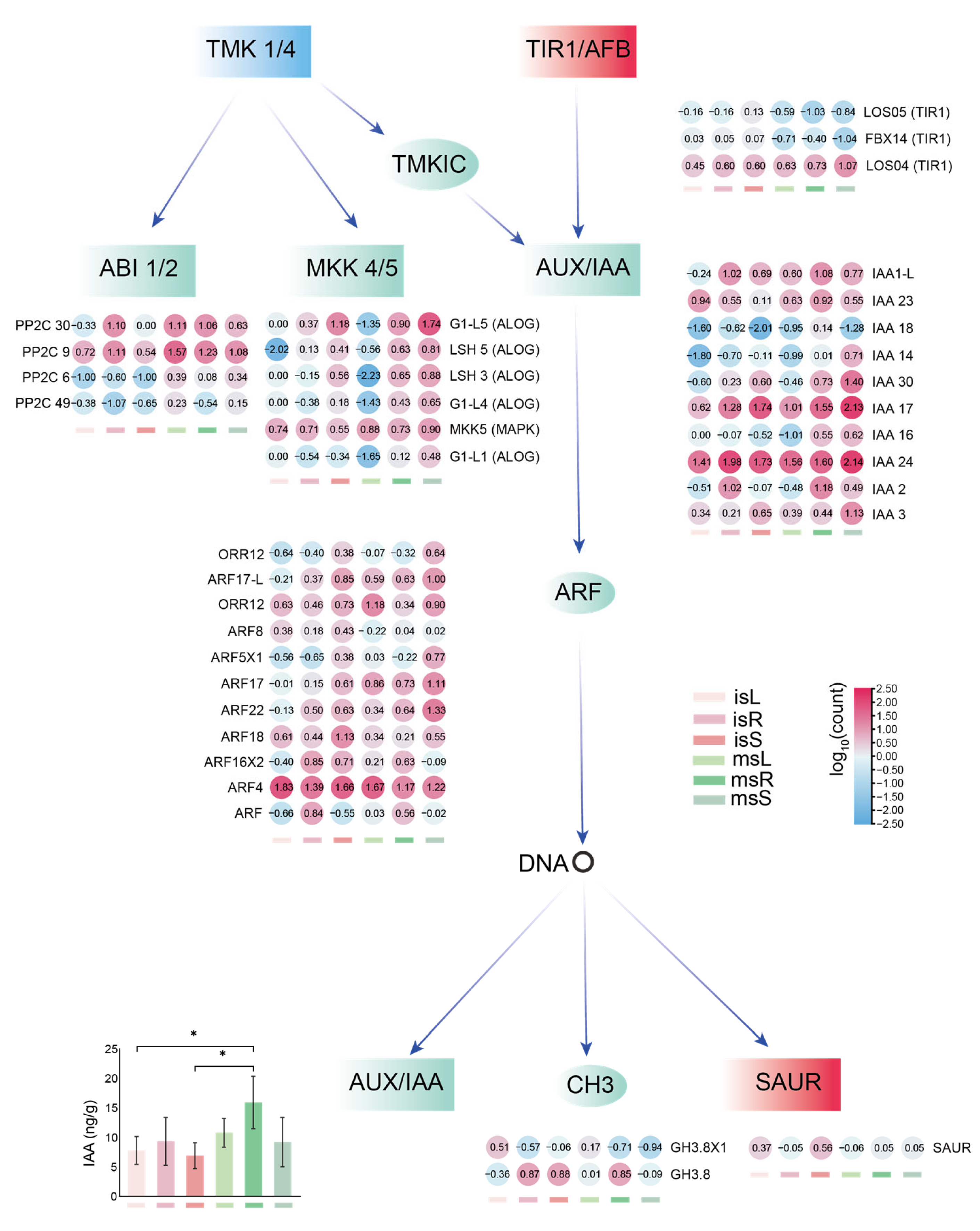 Agronomy 15 02510 g007 Agronomy 15 02510 g007