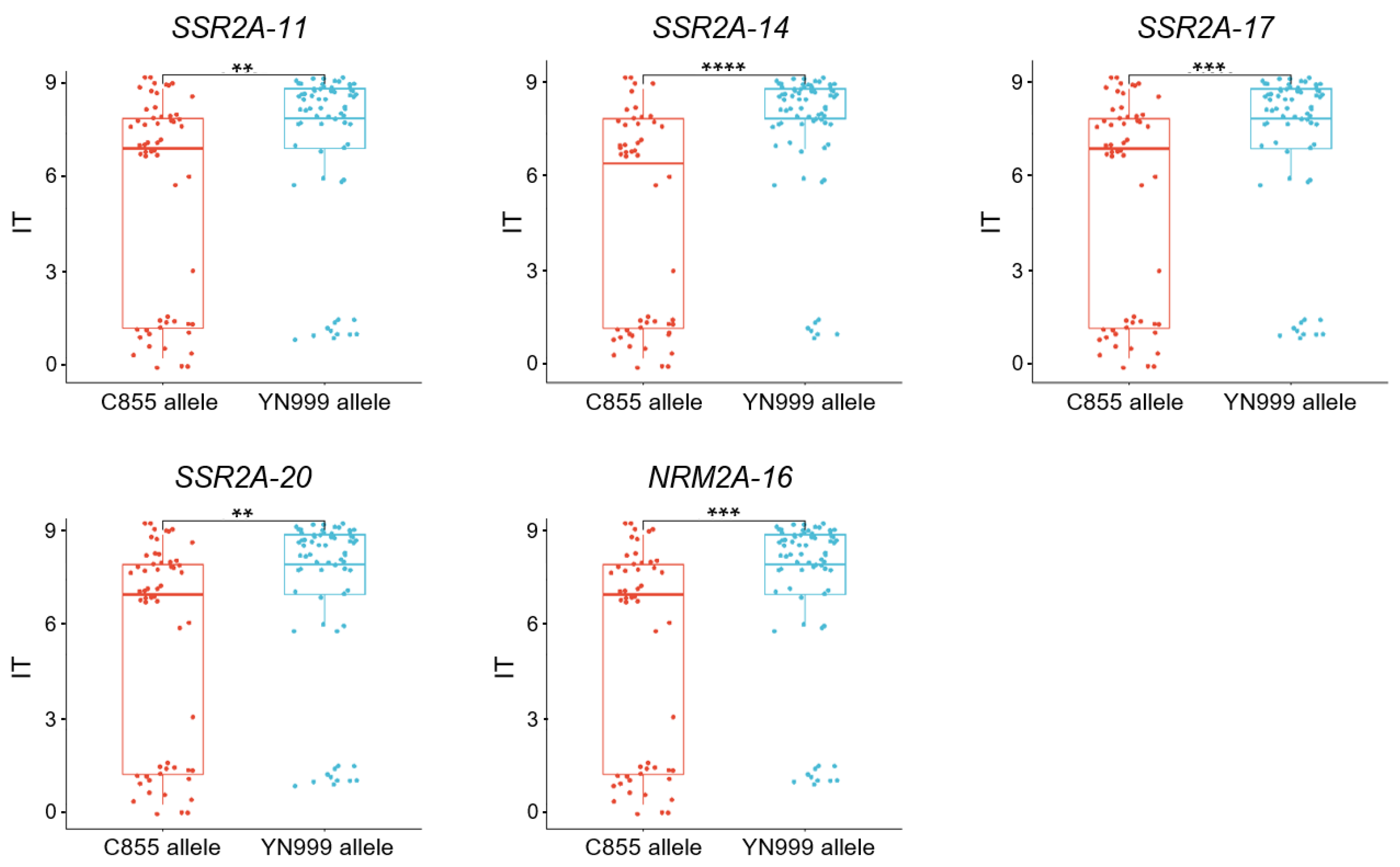 Agronomy 15 02511 g005 Agronomy 15 02511 g005