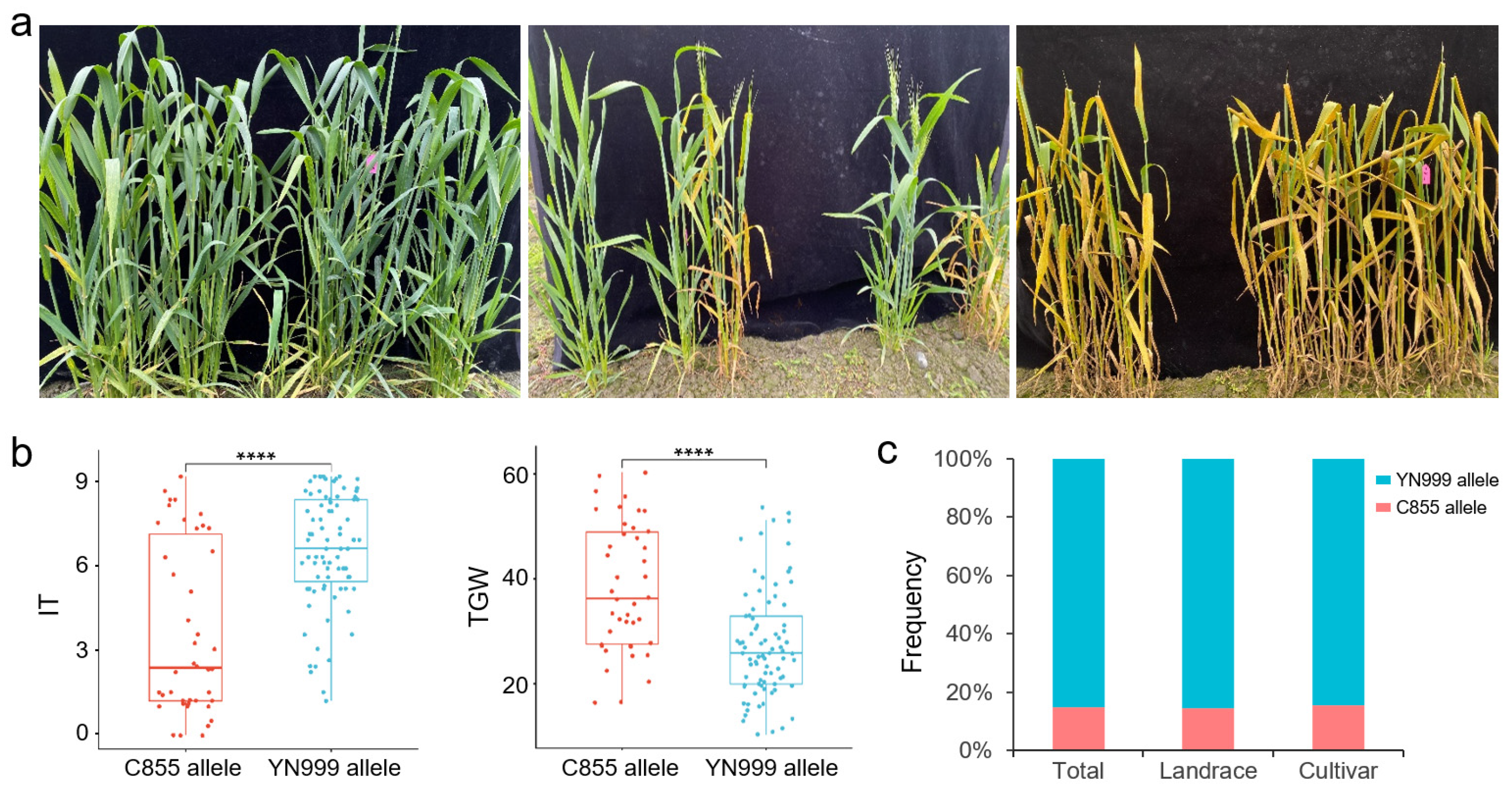 Agronomy 15 02511 g006 Agronomy 15 02511 g006