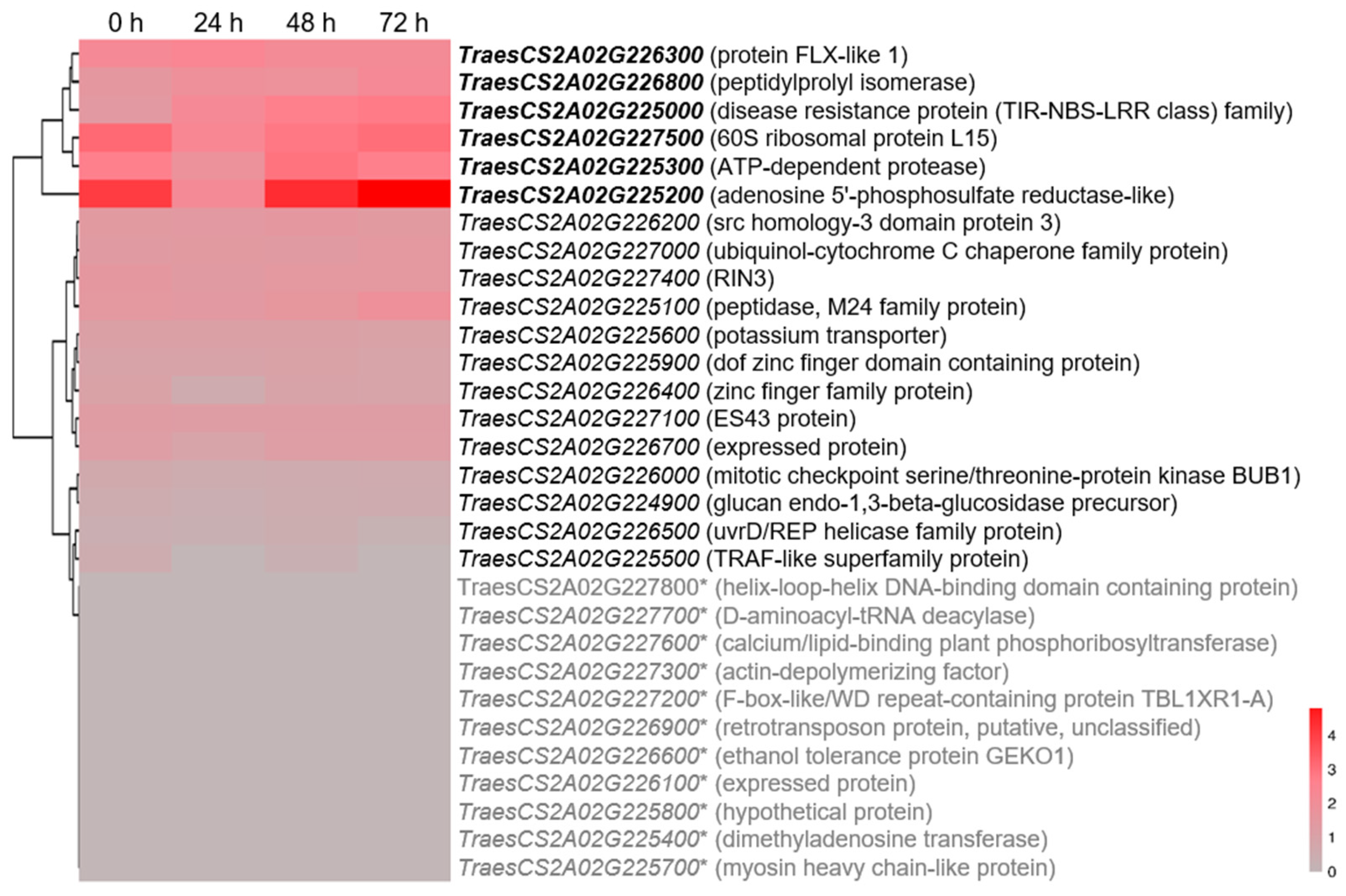 Agronomy 15 02511 g007 Agronomy 15 02511 g007