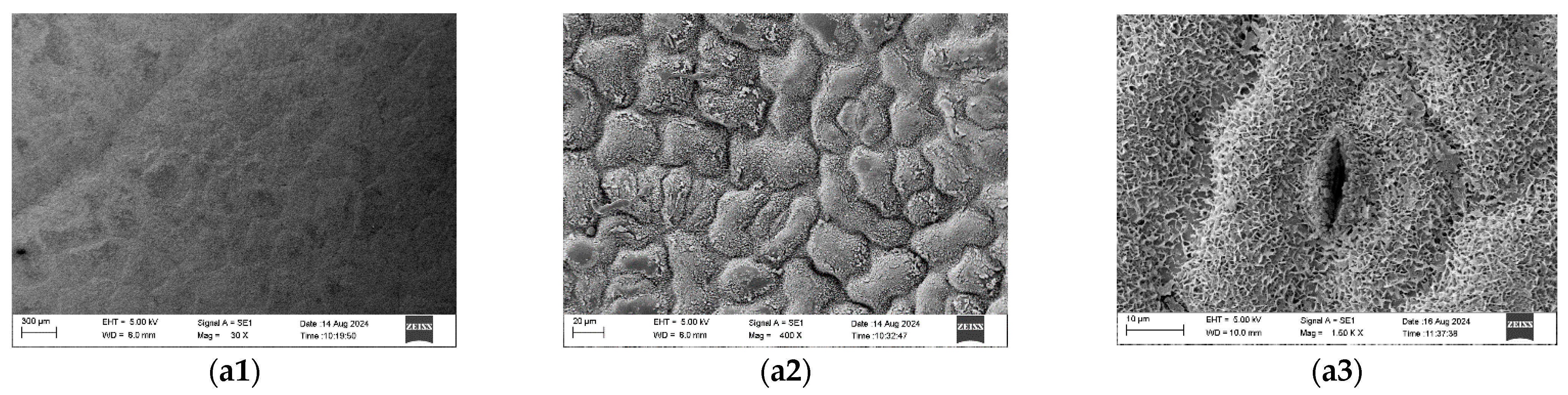 Agronomy 15 02512 g004a Agronomy 15 02512 g004a