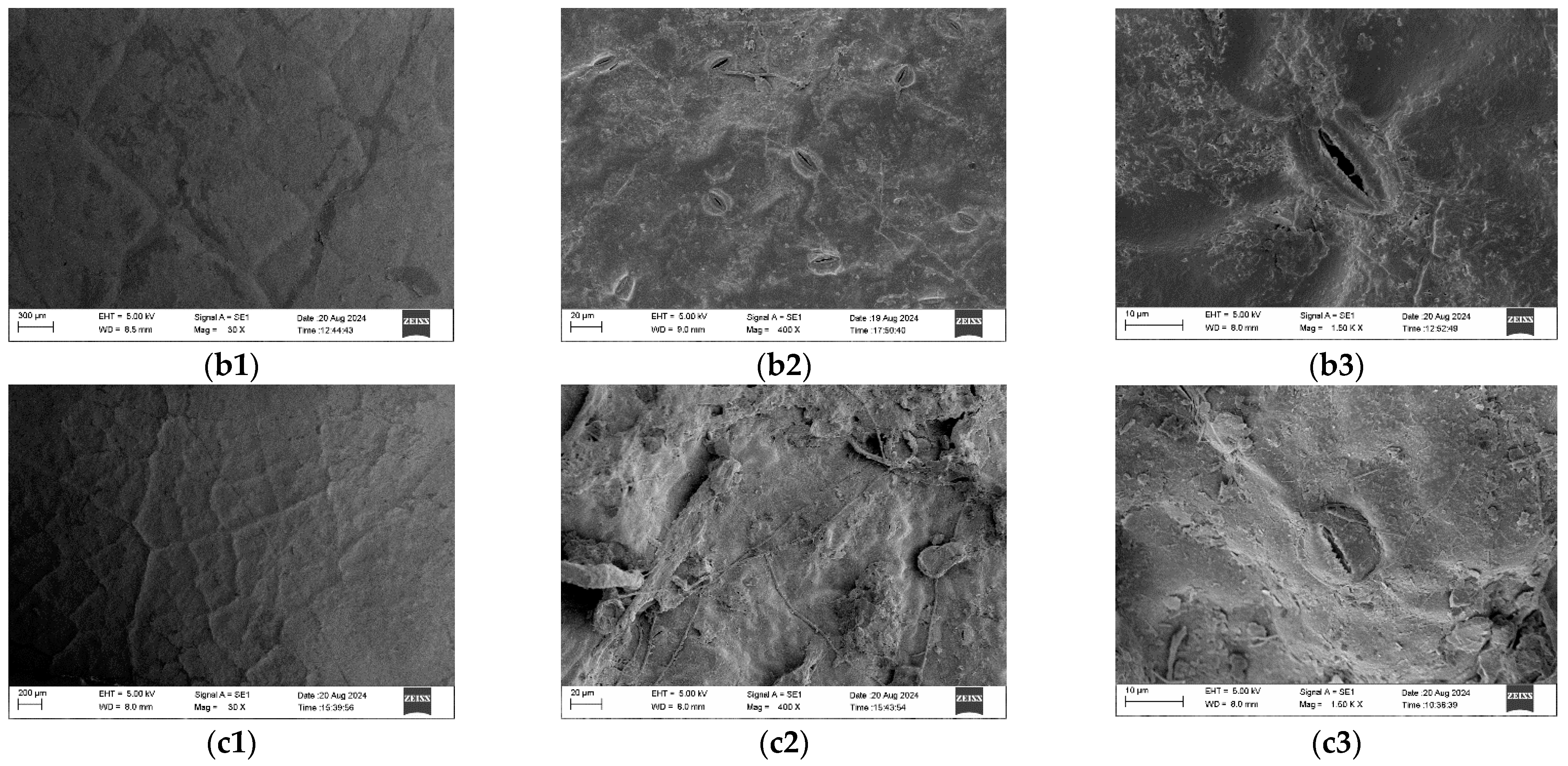 Agronomy 15 02512 g004b Agronomy 15 02512 g004b