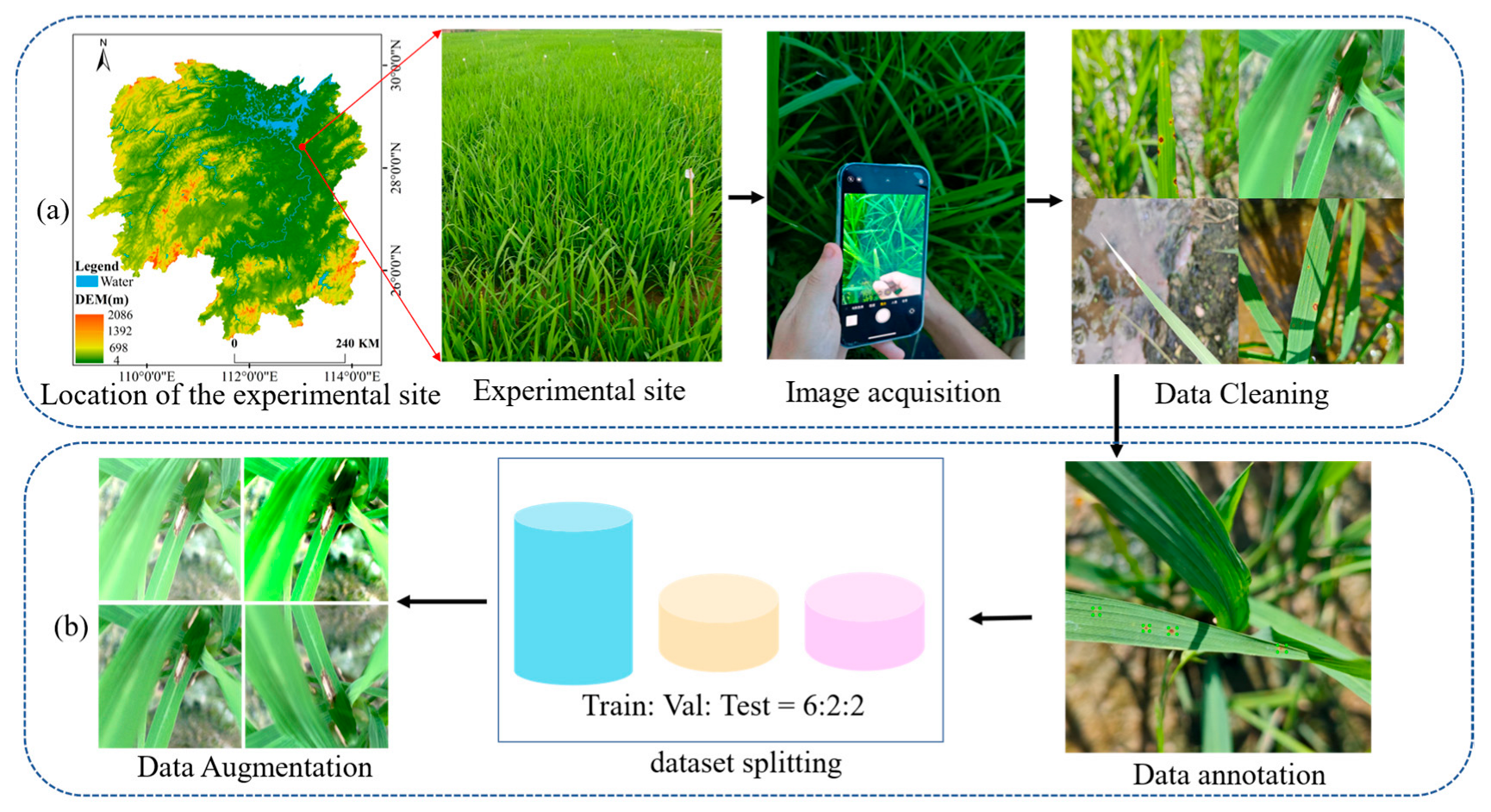 Agronomy 15 02513 g001