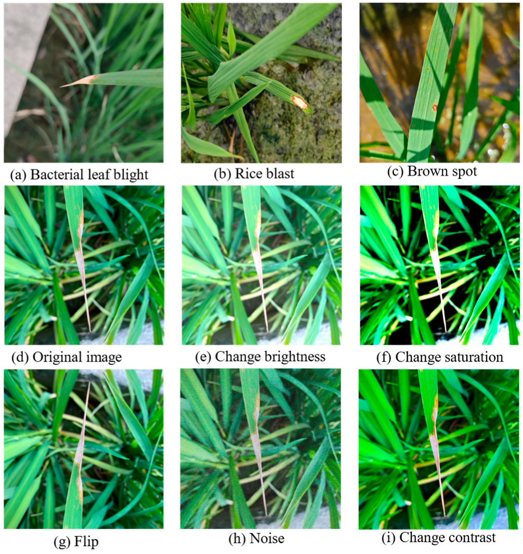 Agronomy 15 02513 g002