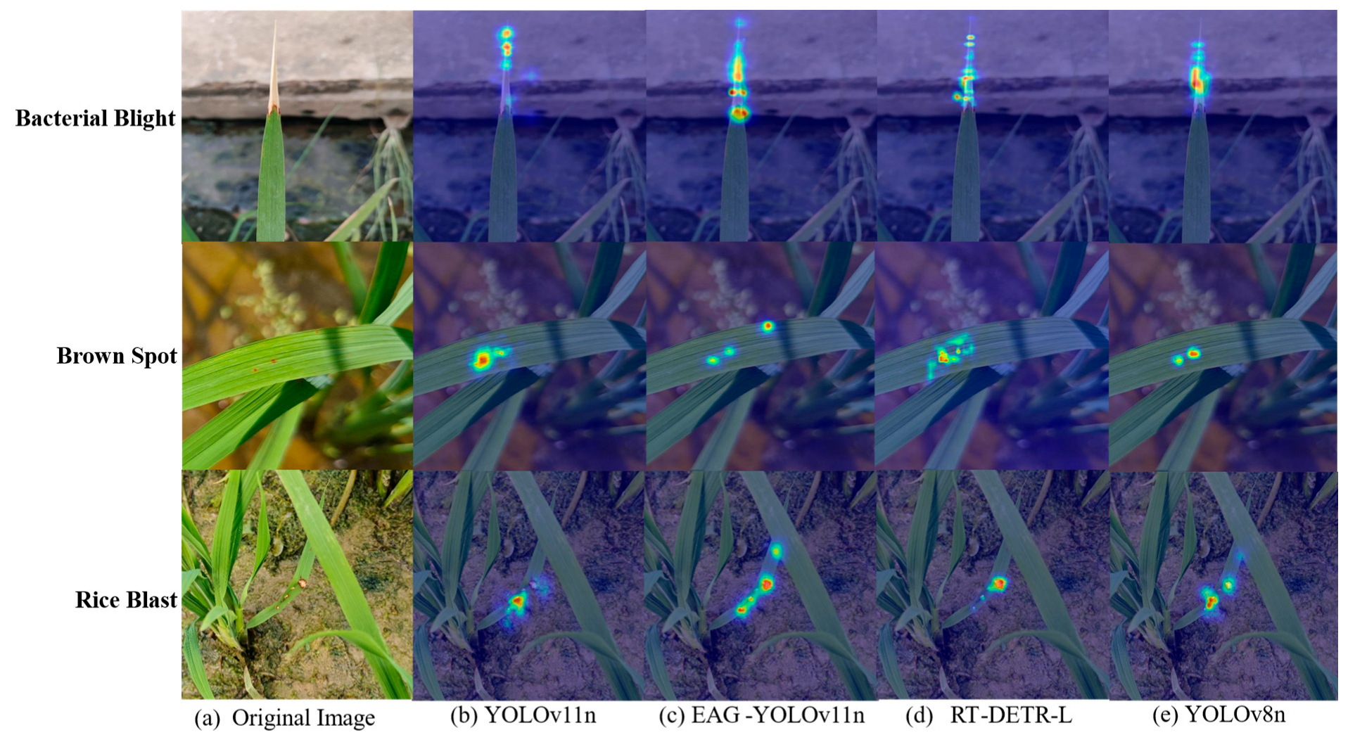 Agronomy 15 02513 g009