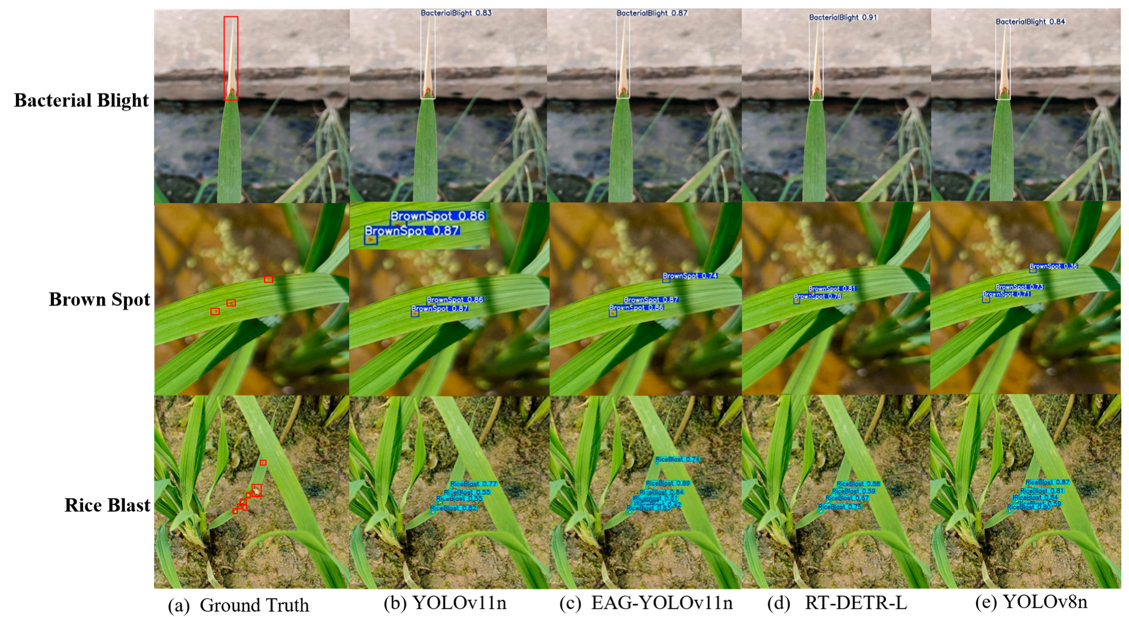 Agronomy 15 02513 g010