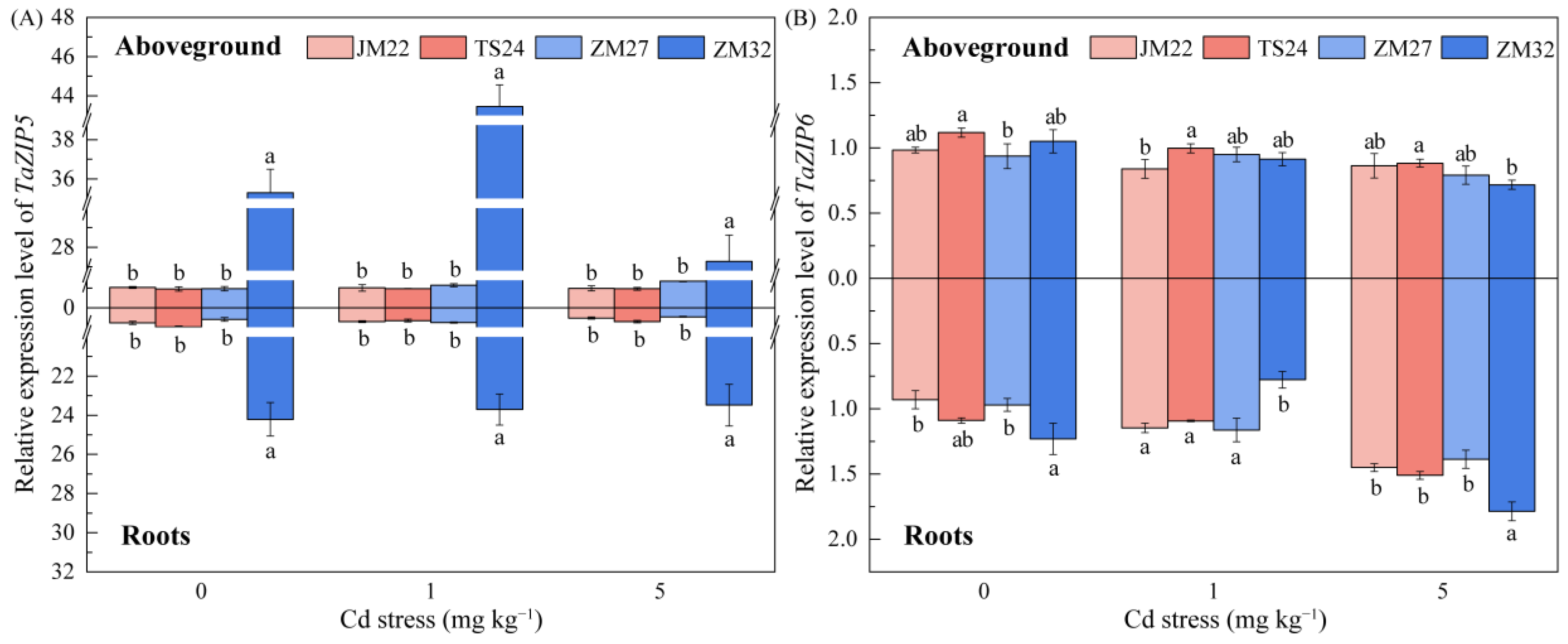 Agronomy 15 02515 g004 Agronomy 15 02515 g004