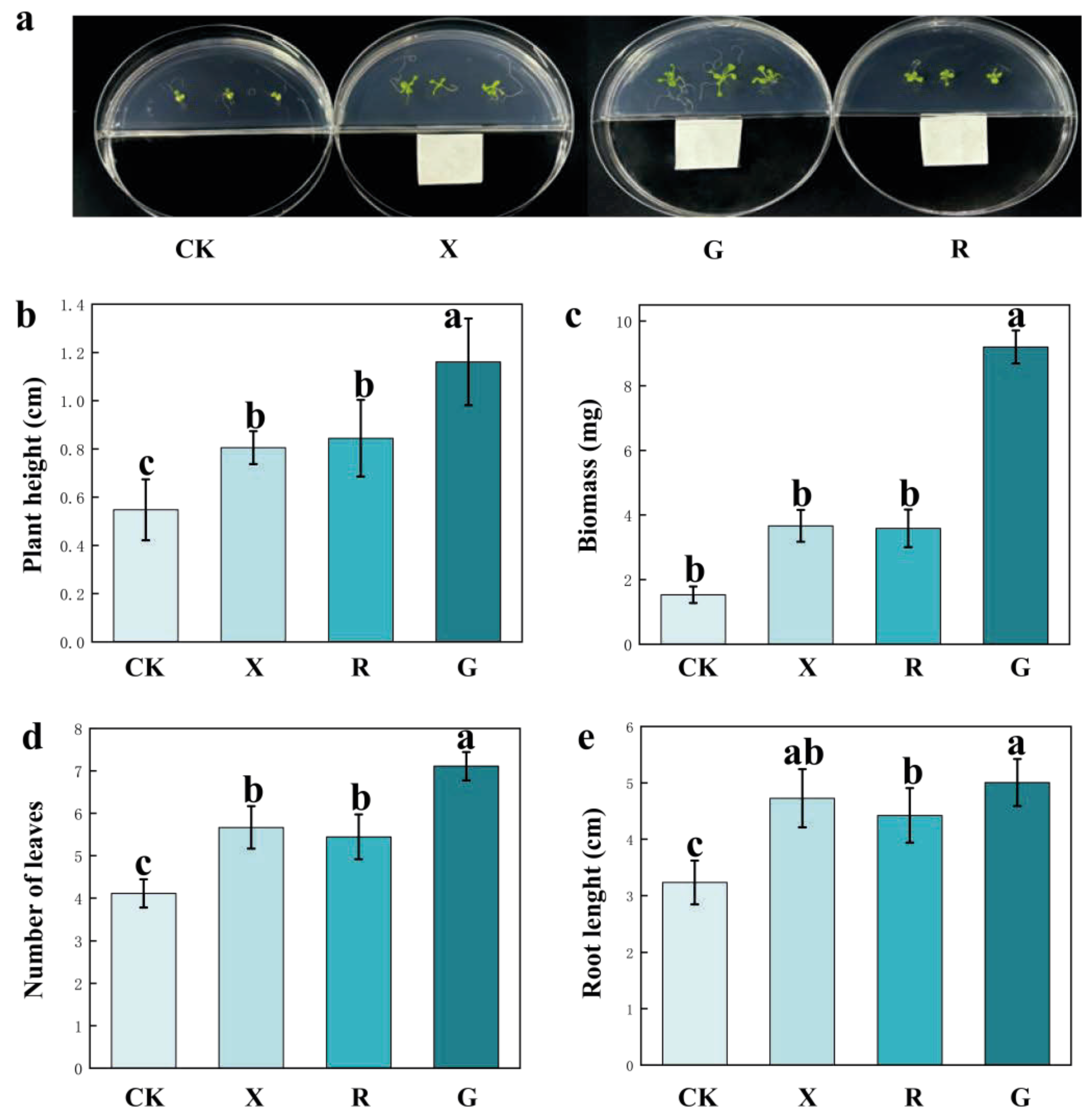 Agronomy 15 02520 g002 Agronomy 15 02520 g002