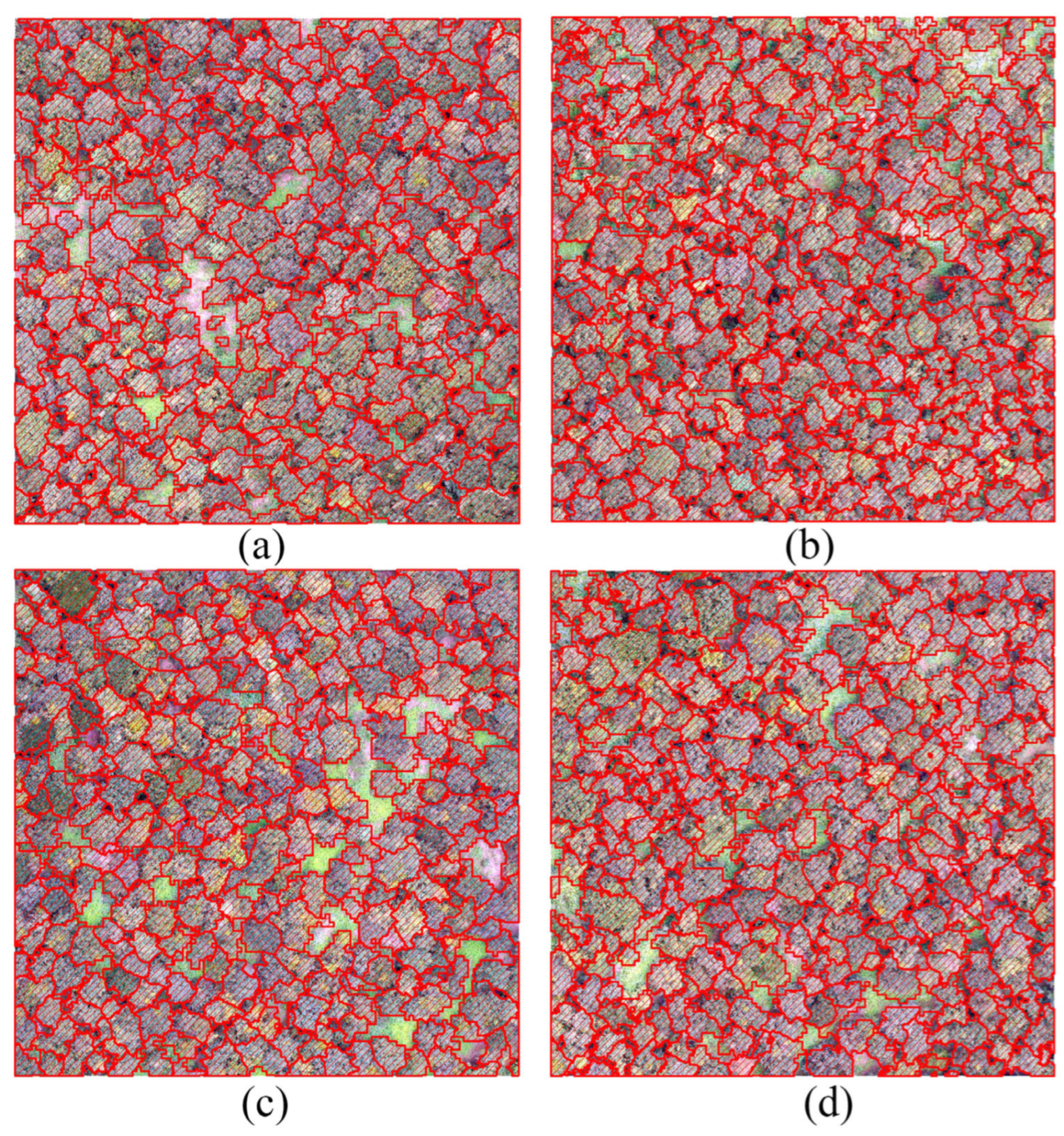 Agronomy 15 02522 g011 Agronomy 15 02522 g011