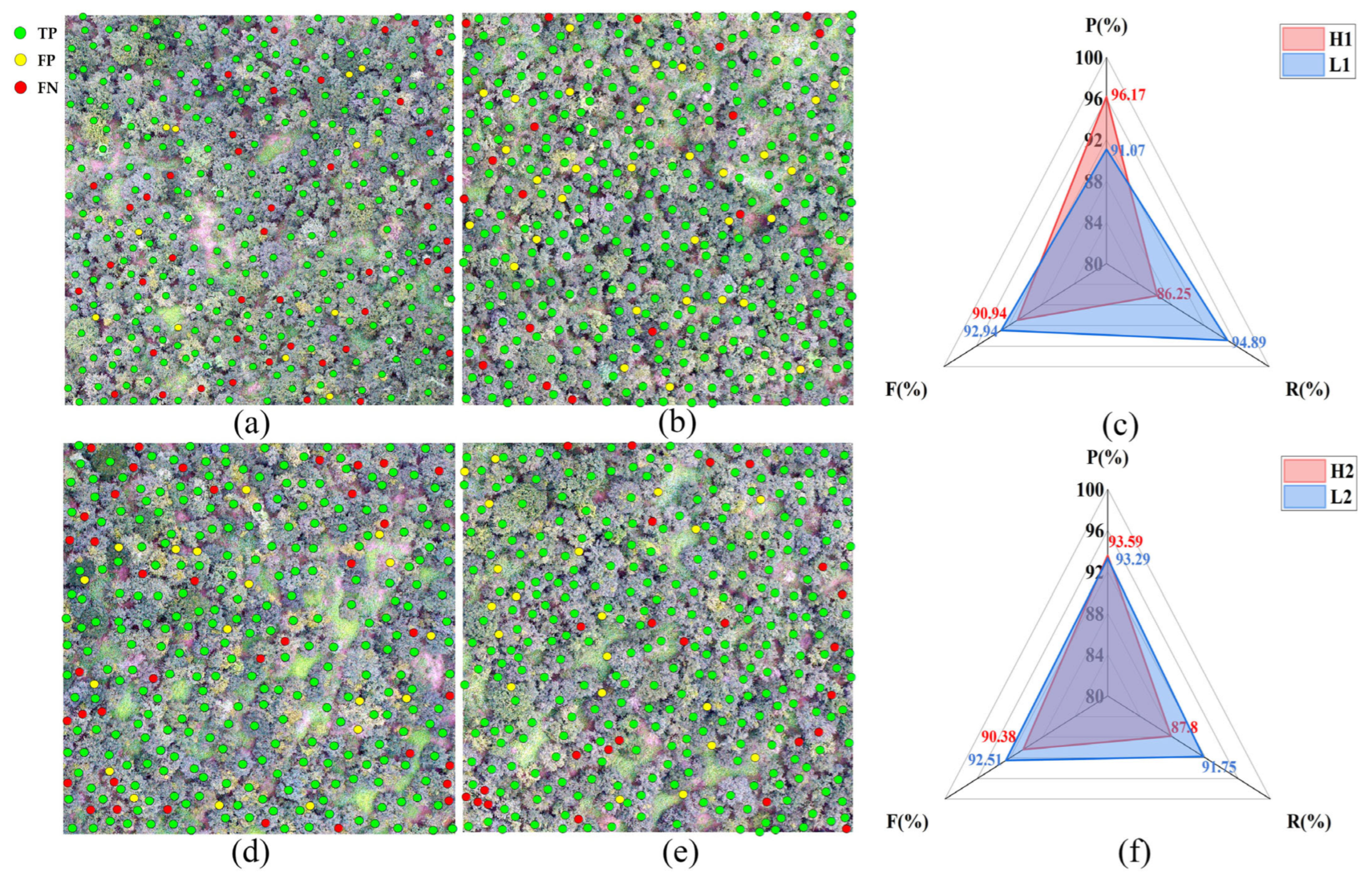 Agronomy 15 02522 g012 Agronomy 15 02522 g012