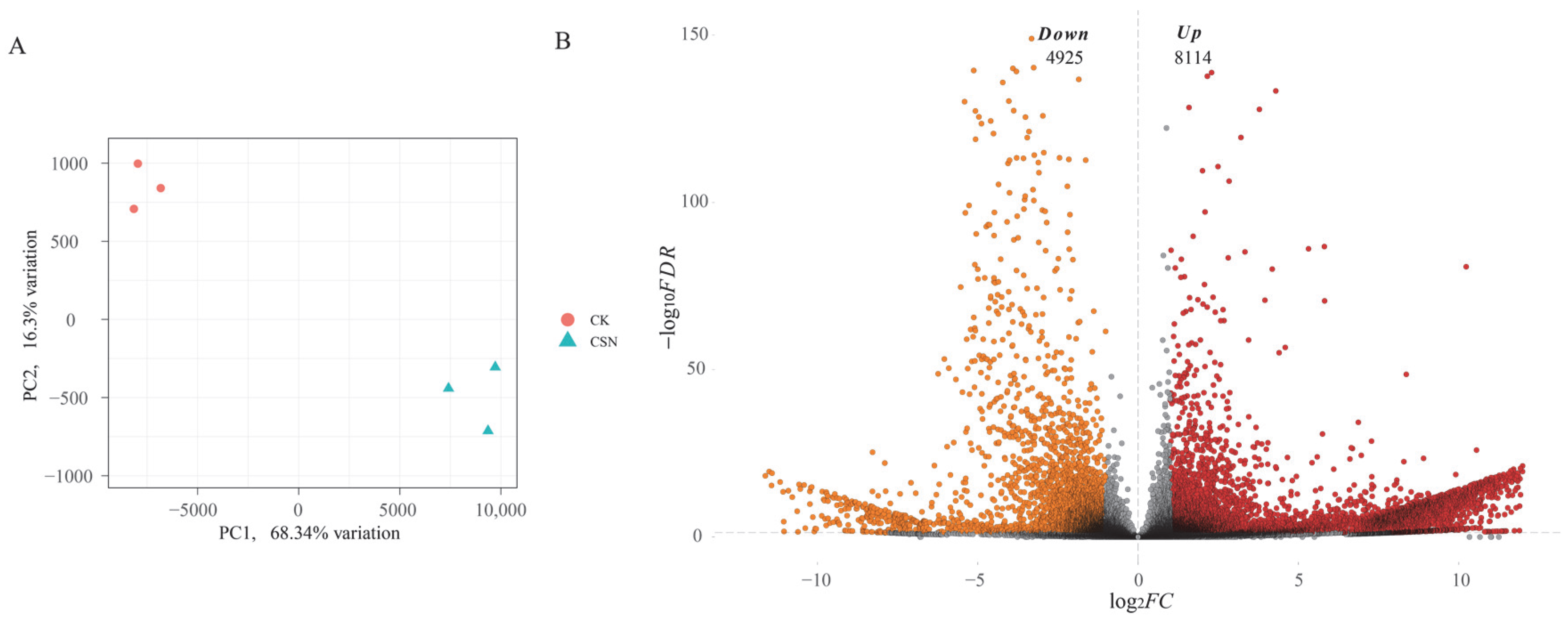 Agronomy 15 02526 g004 Agronomy 15 02526 g004