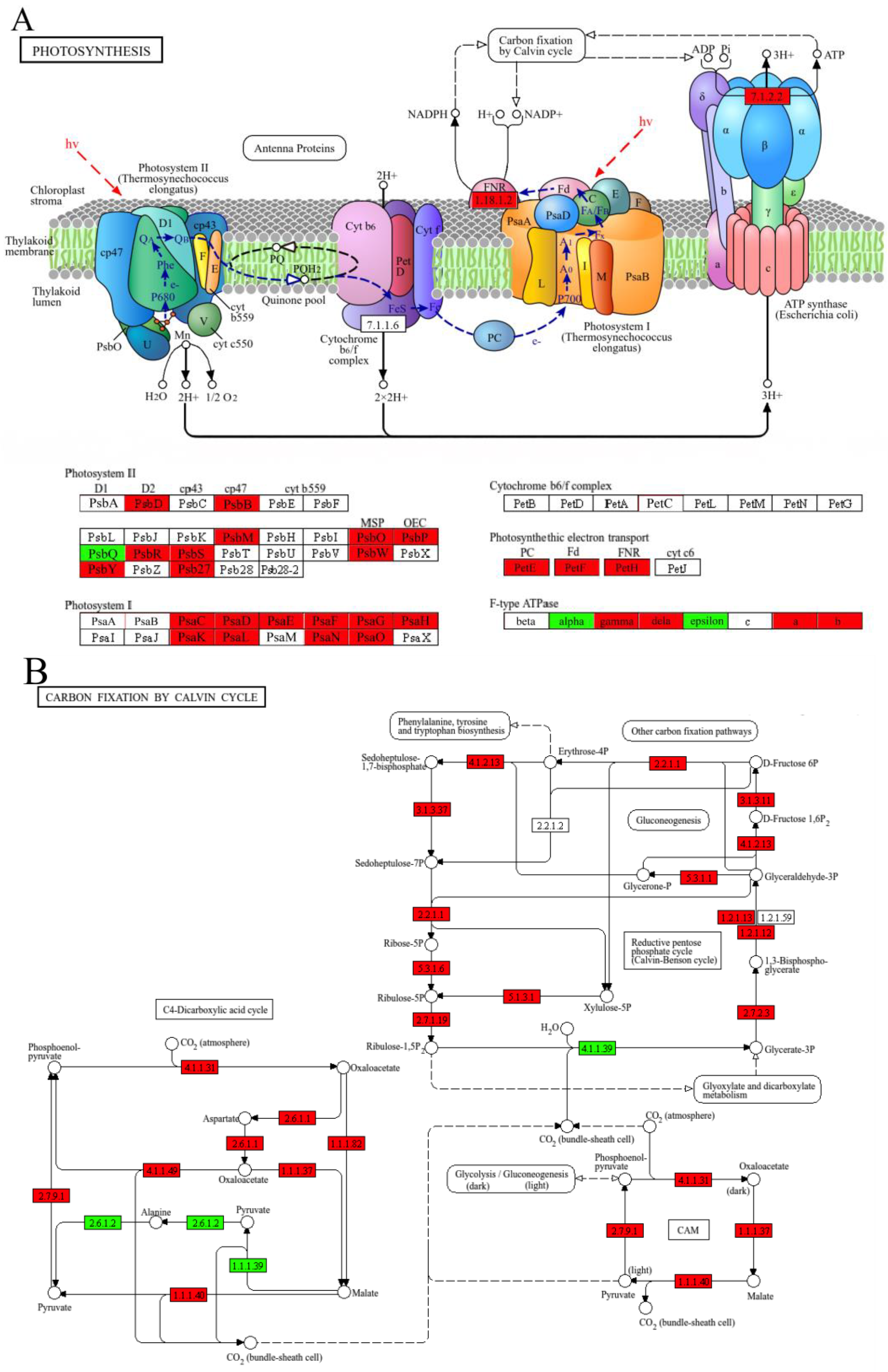 Agronomy 15 02526 g006 Agronomy 15 02526 g006