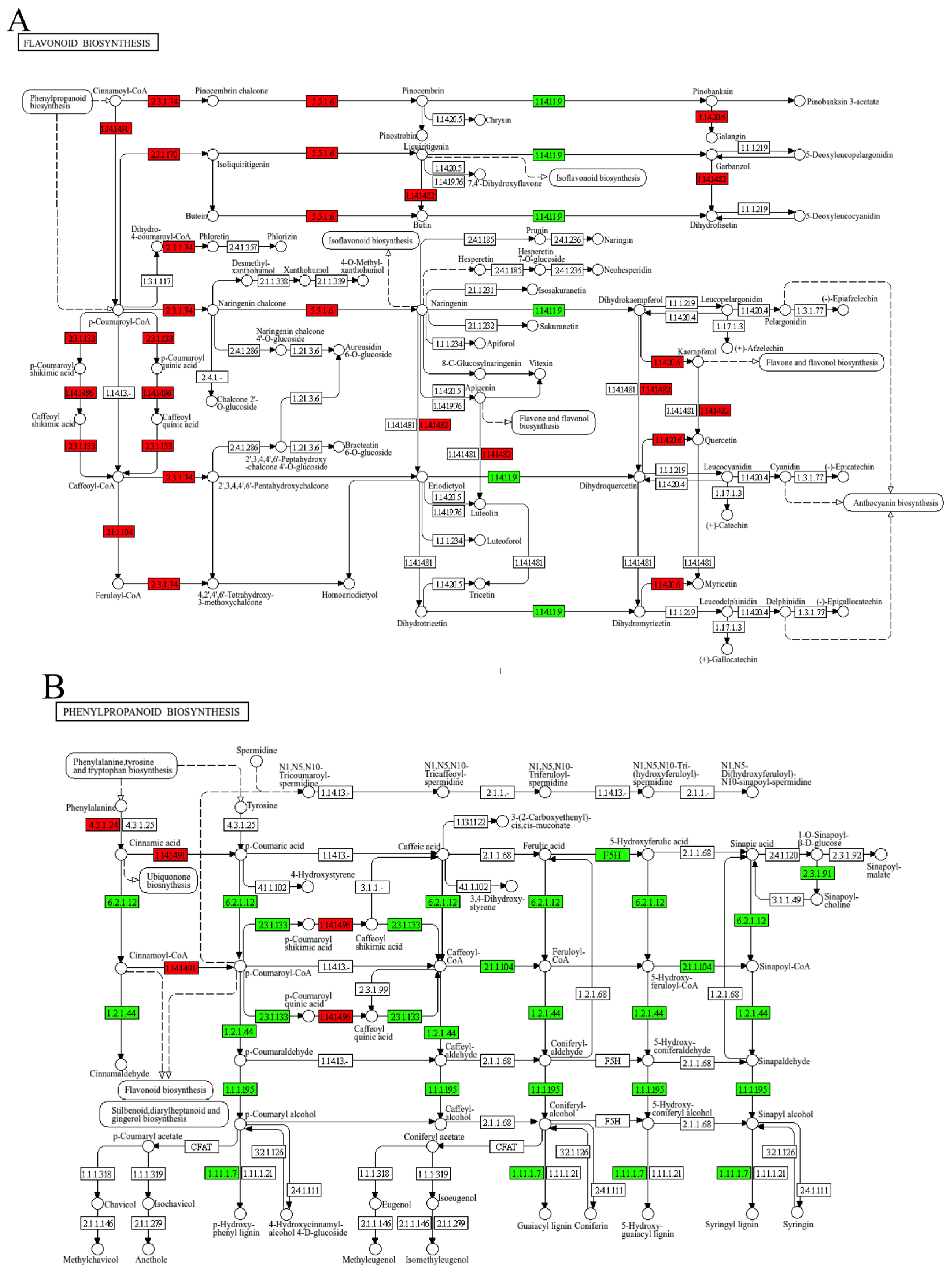 Agronomy 15 02526 g007 Agronomy 15 02526 g007