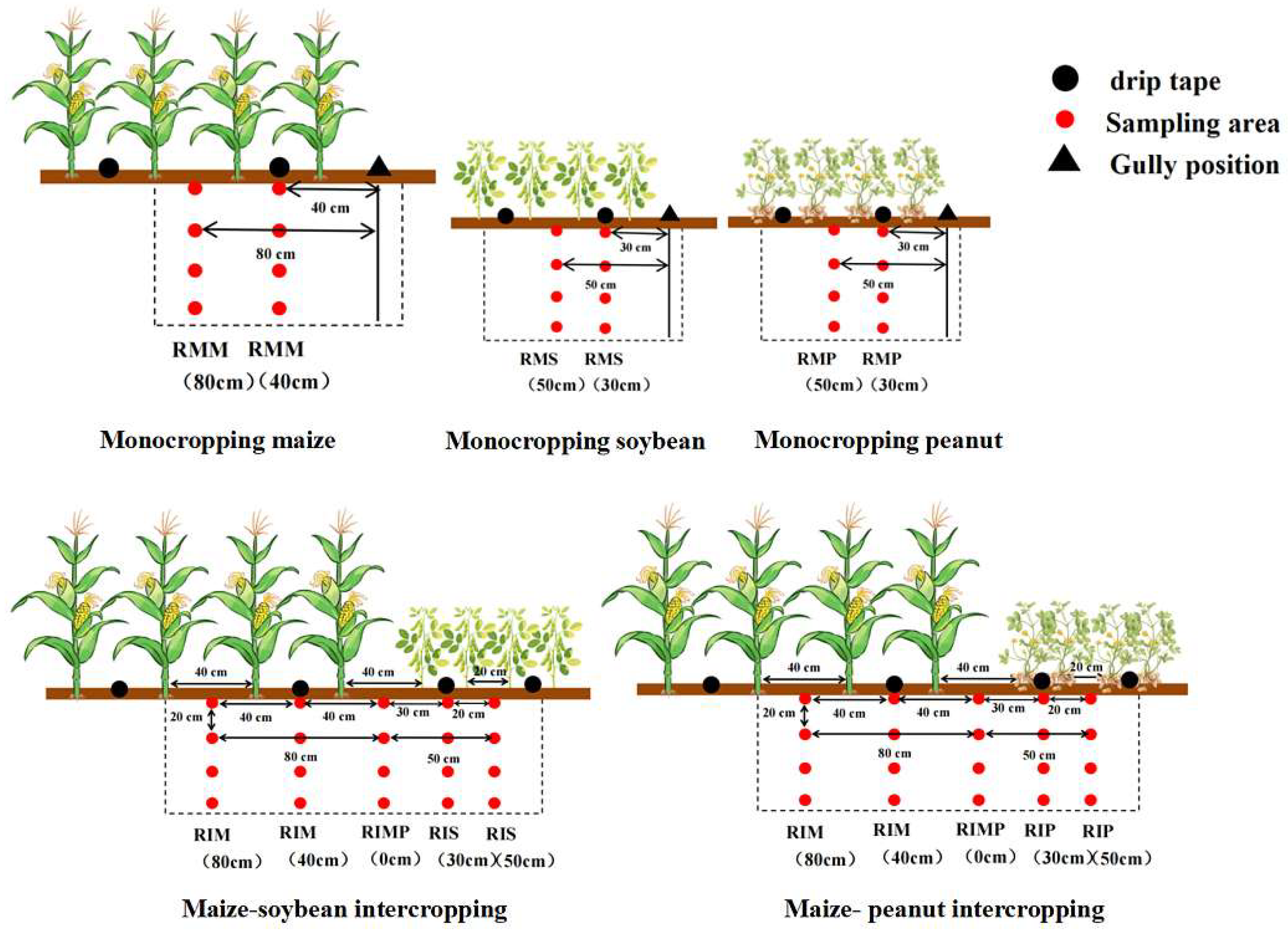 Agronomy 15 02527 g002 Agronomy 15 02527 g002