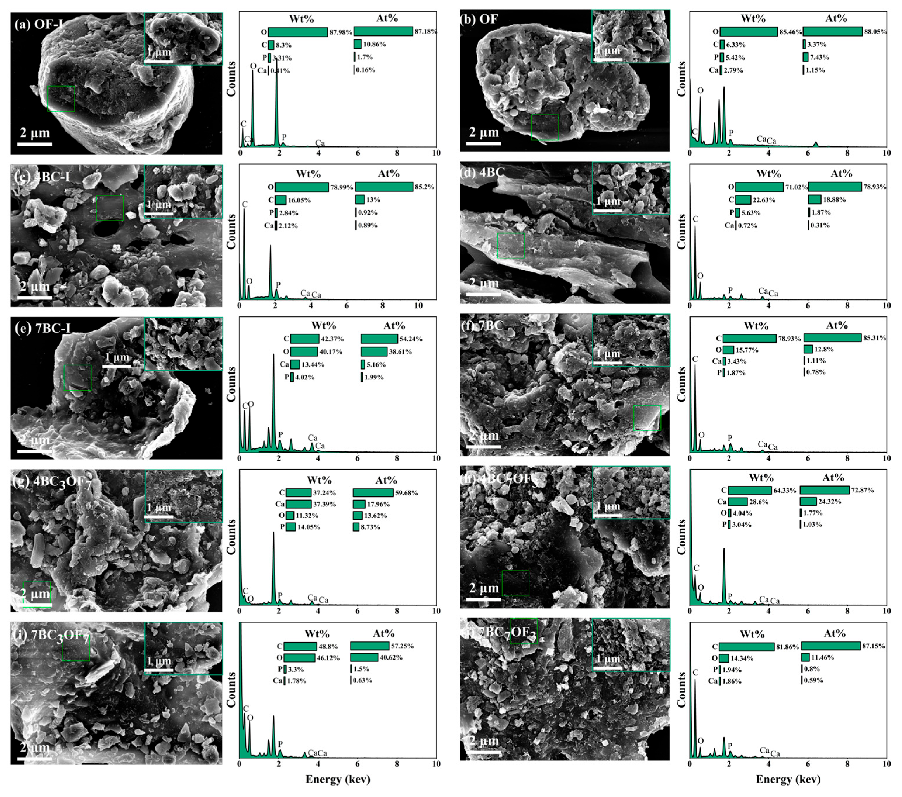 Agronomy 15 02528 g001 Agronomy 15 02528 g001