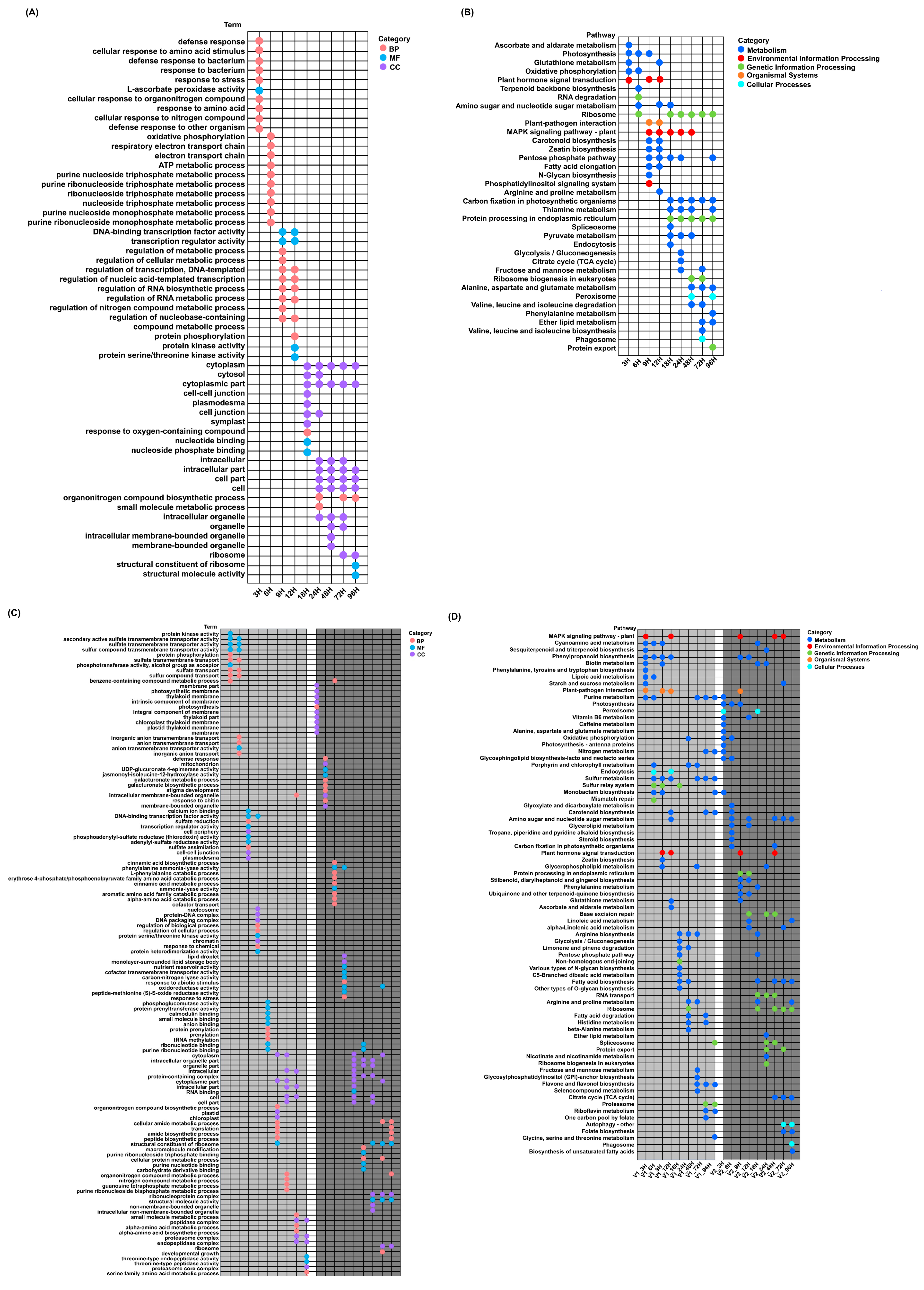 Agronomy 15 02529 g005 Agronomy 15 02529 g005