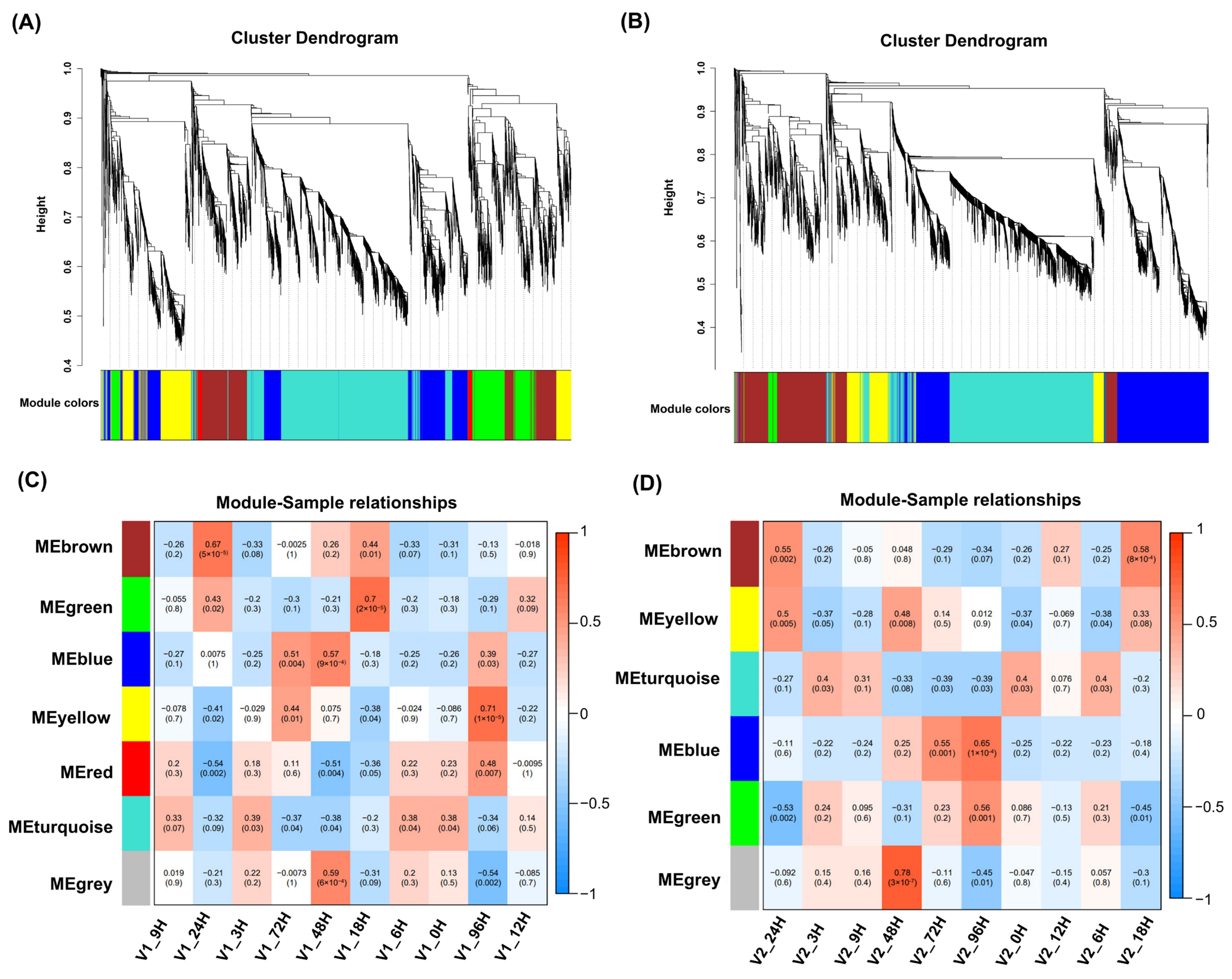 Agronomy 15 02529 g006 Agronomy 15 02529 g006