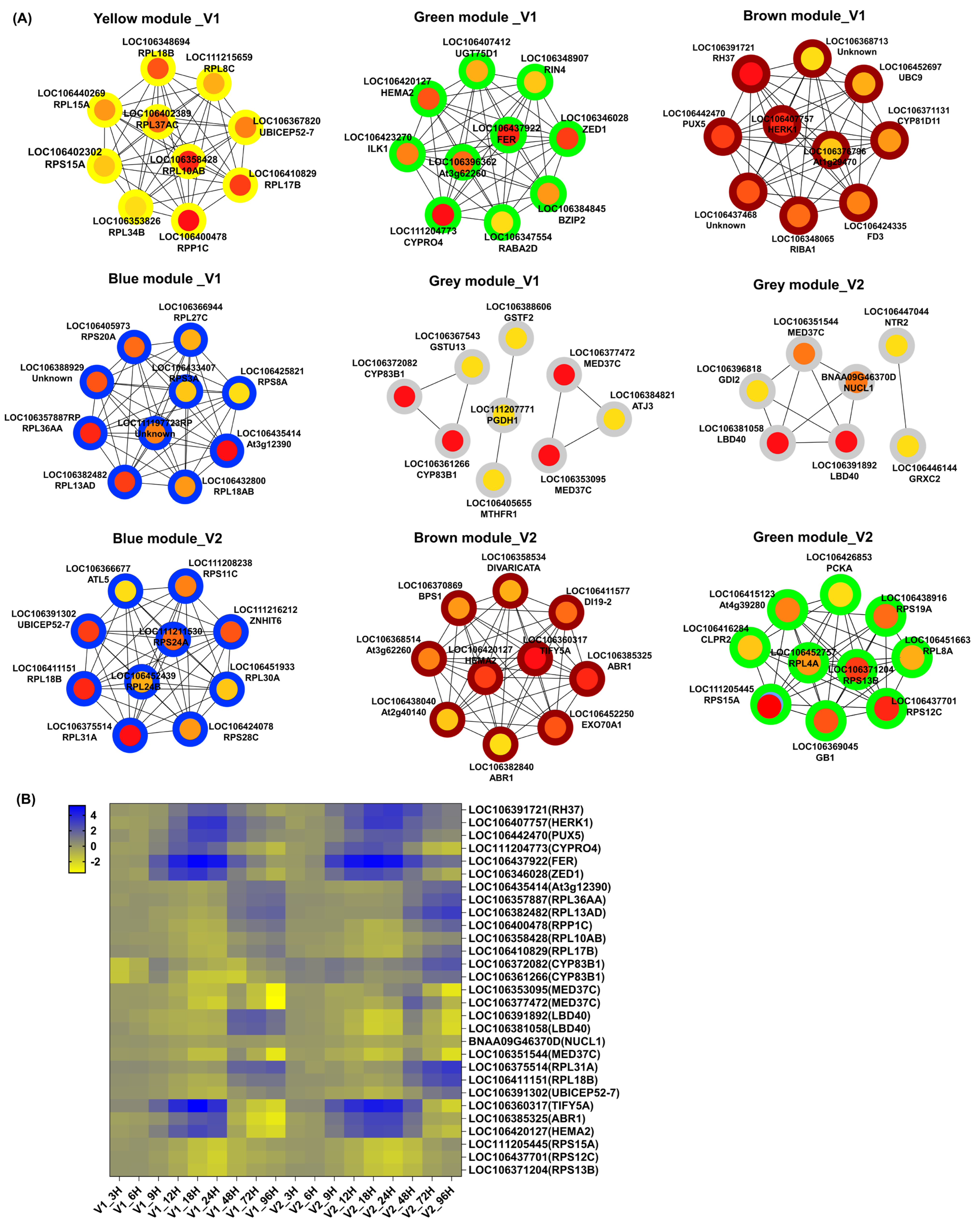 Agronomy 15 02529 g007 Agronomy 15 02529 g007