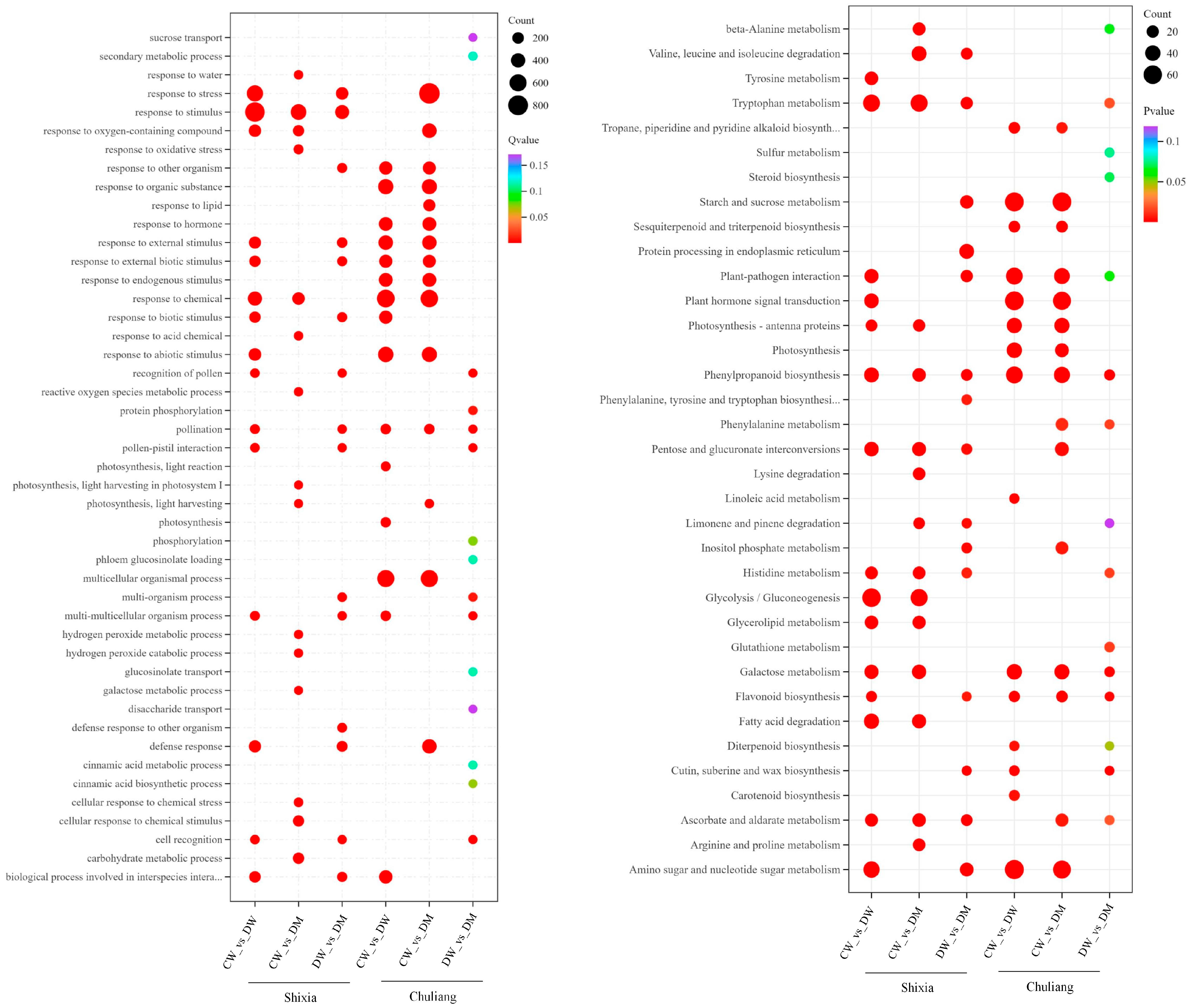 Agronomy 15 02530 g005 Agronomy 15 02530 g005