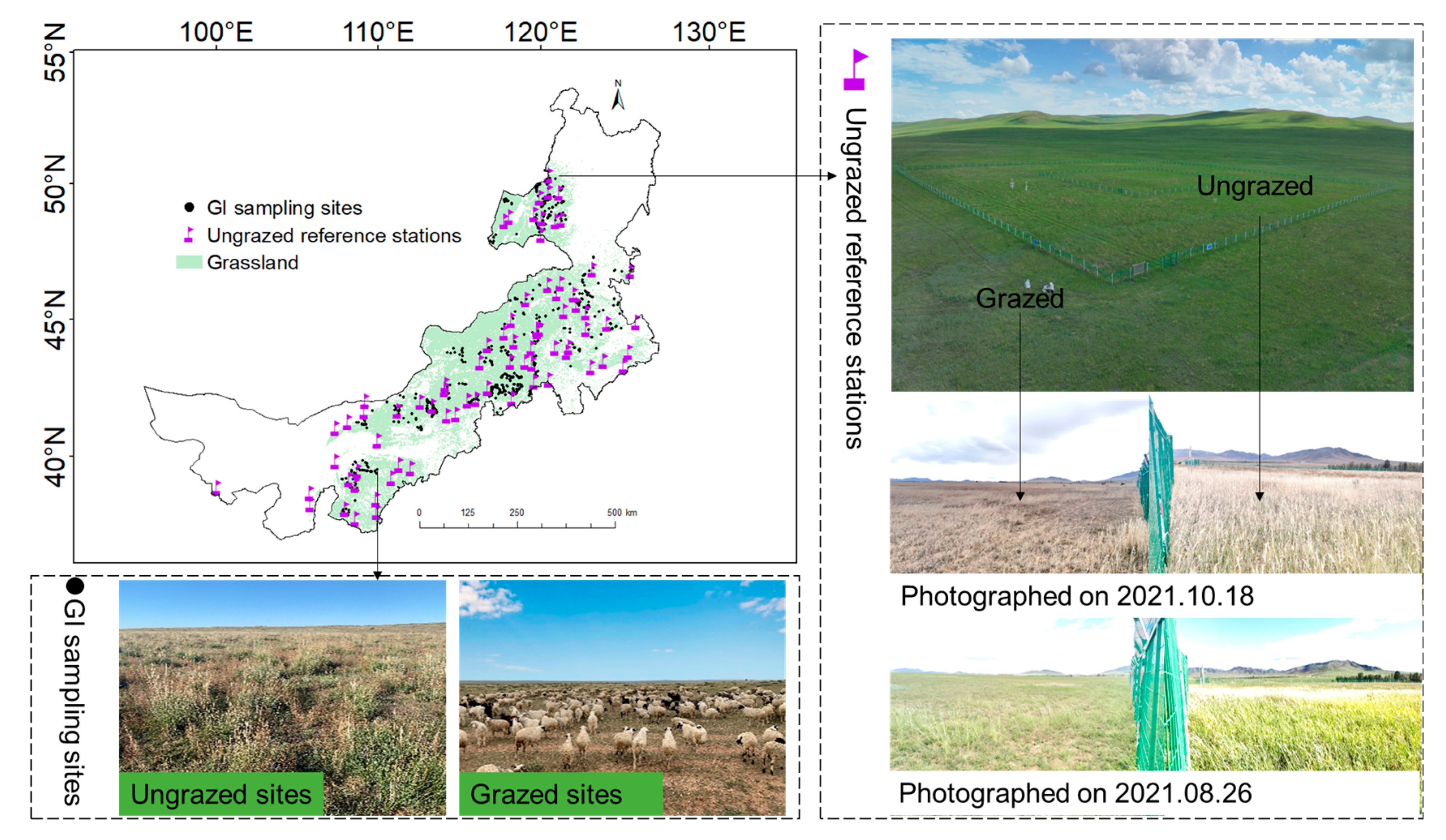 Agronomy 15 02537 g002 Agronomy 15 02537 g002