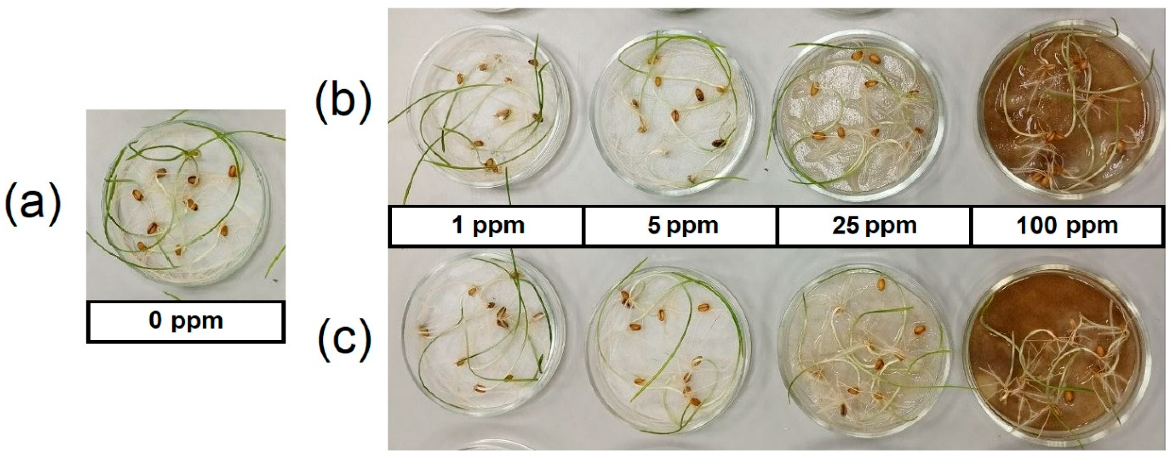 Agronomy 15 02540 g005 Agronomy 15 02540 g005