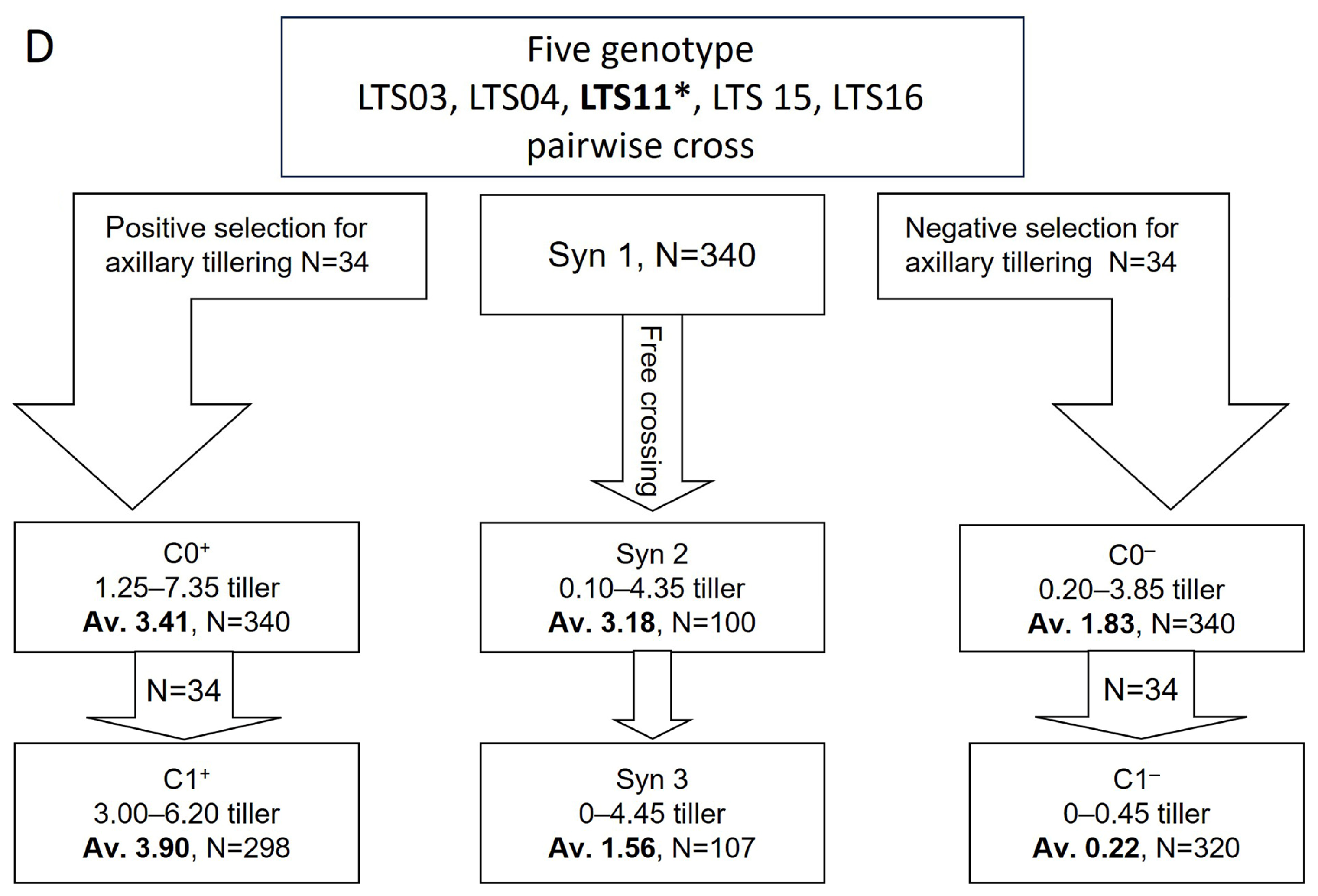 Agronomy 15 02541 g003b Agronomy 15 02541 g003b