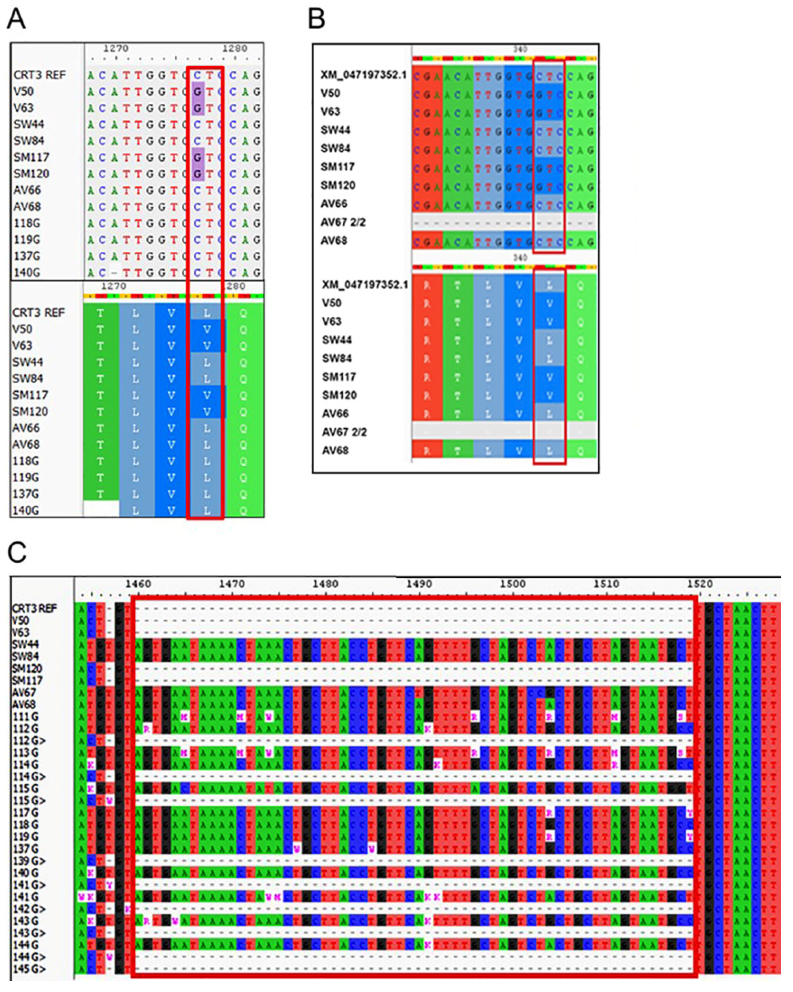 Agronomy 15 02541 g004 Agronomy 15 02541 g004