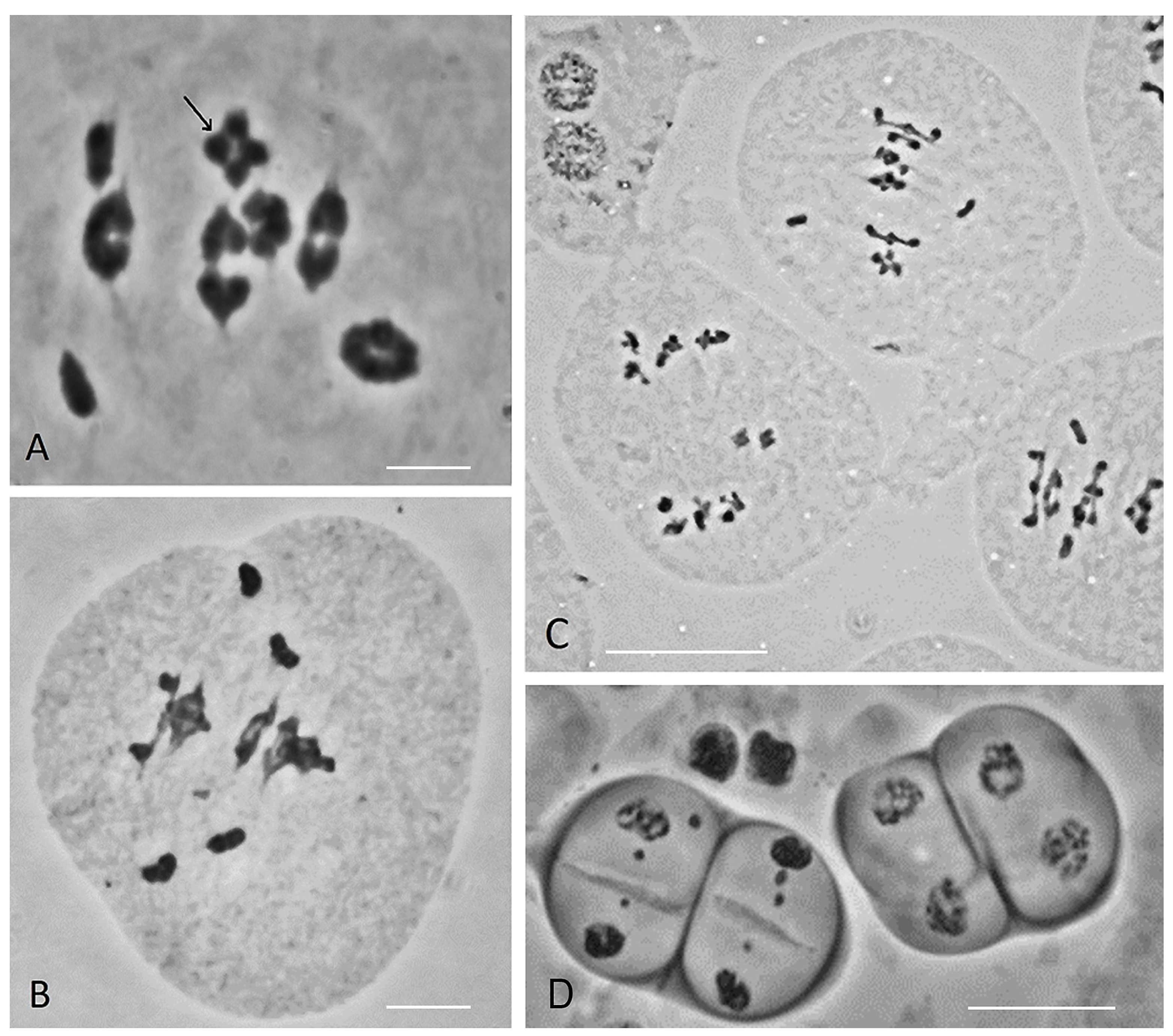 Agronomy 15 02541 g005 Agronomy 15 02541 g005