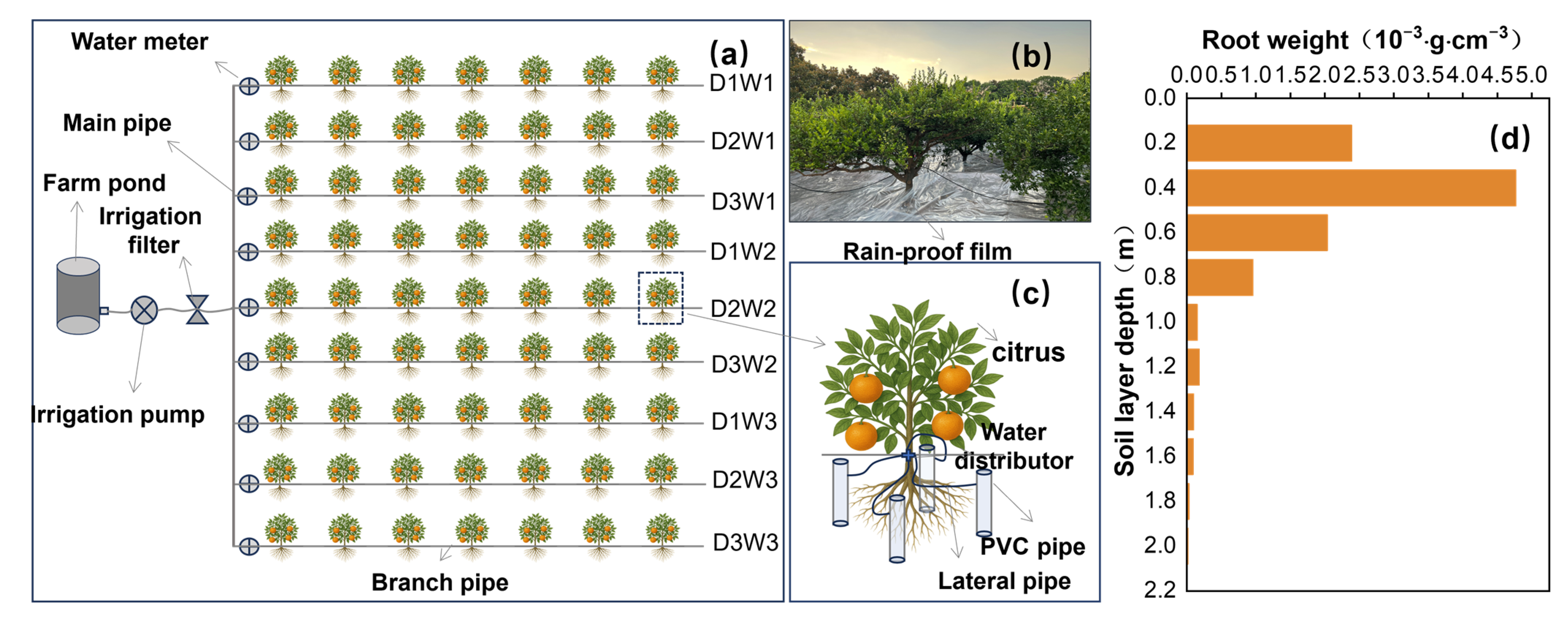 Agronomy 15 02553 g001 Agronomy 15 02553 g001