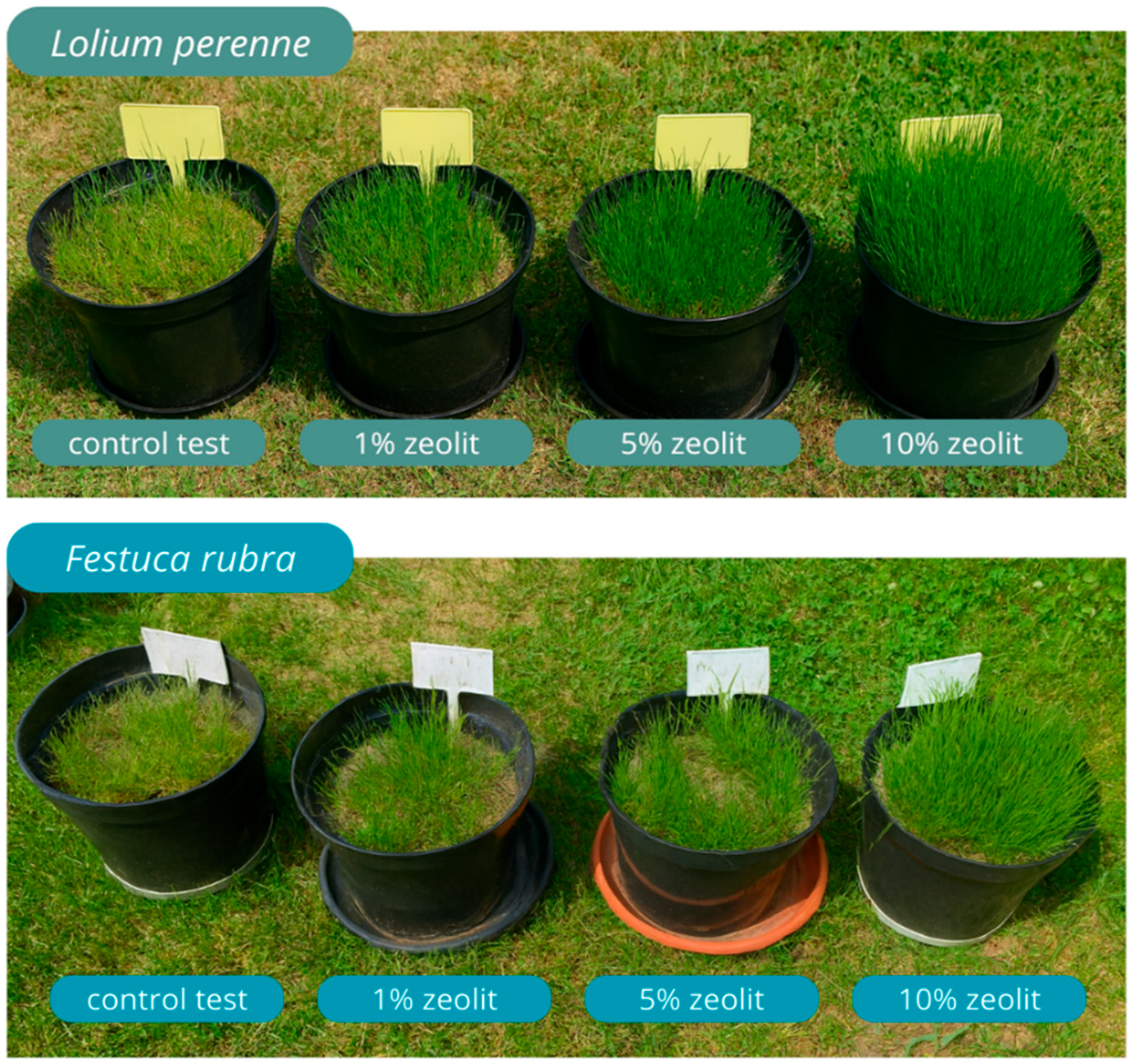 Agronomy 15 02554 g001