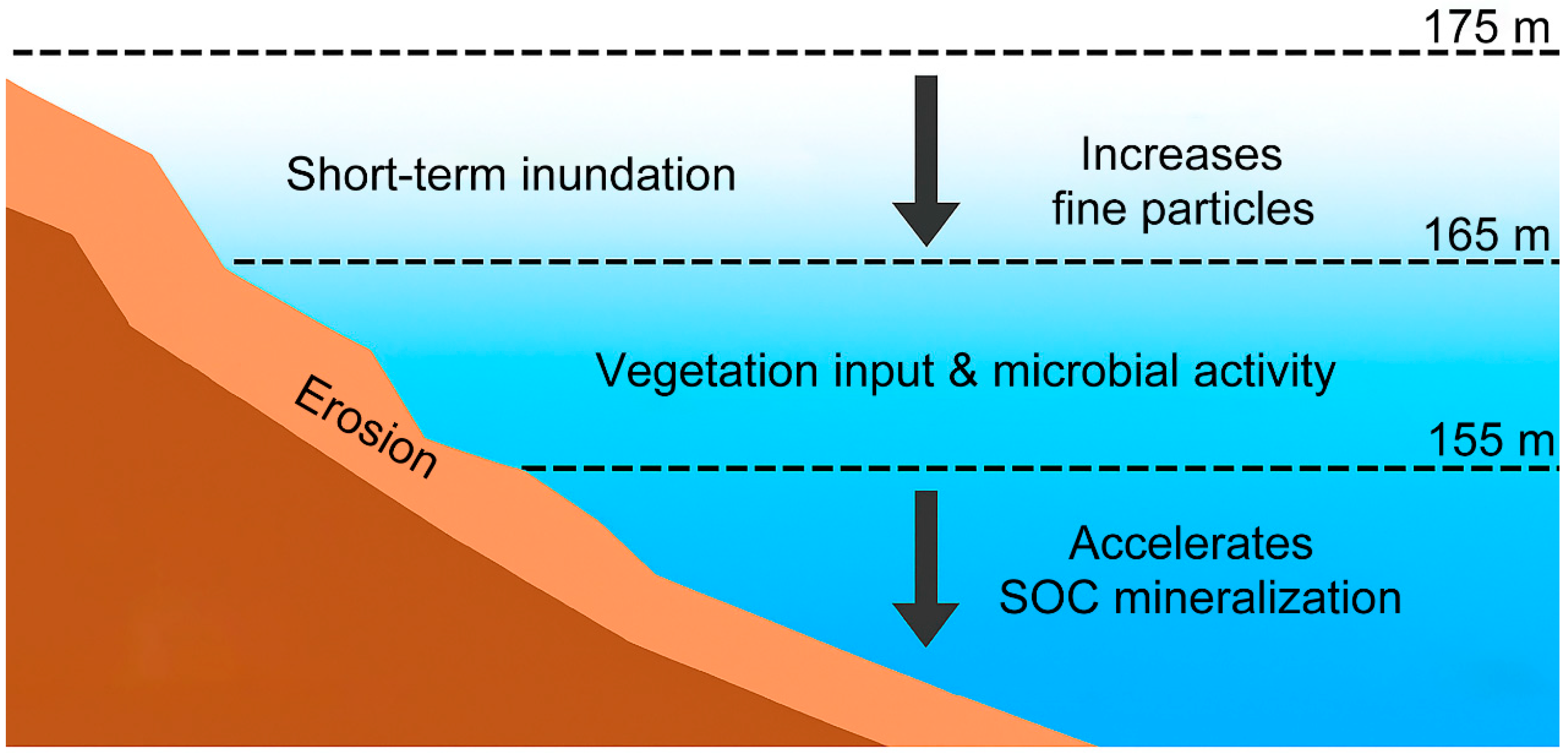 Agronomy 15 02555 g001 Agronomy 15 02555 g001
