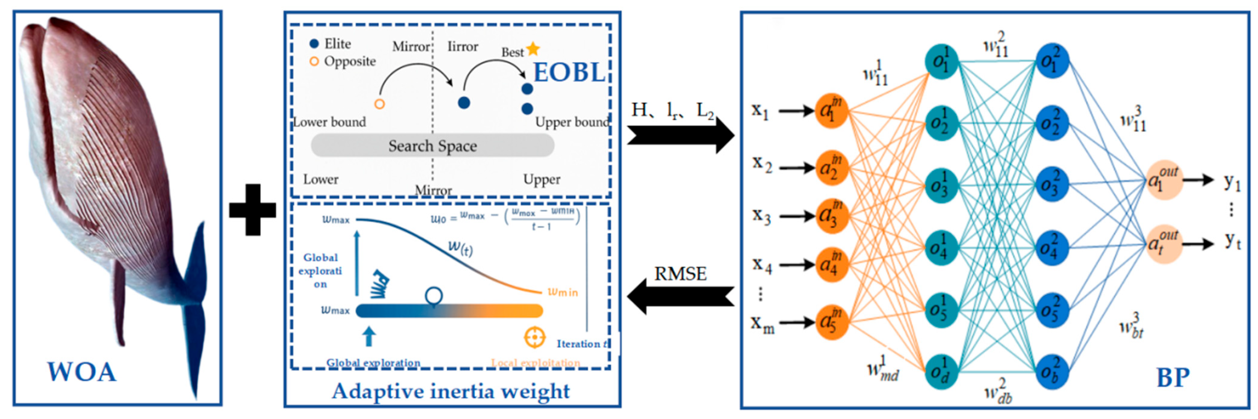 Agronomy 15 02557 g005 Agronomy 15 02557 g005