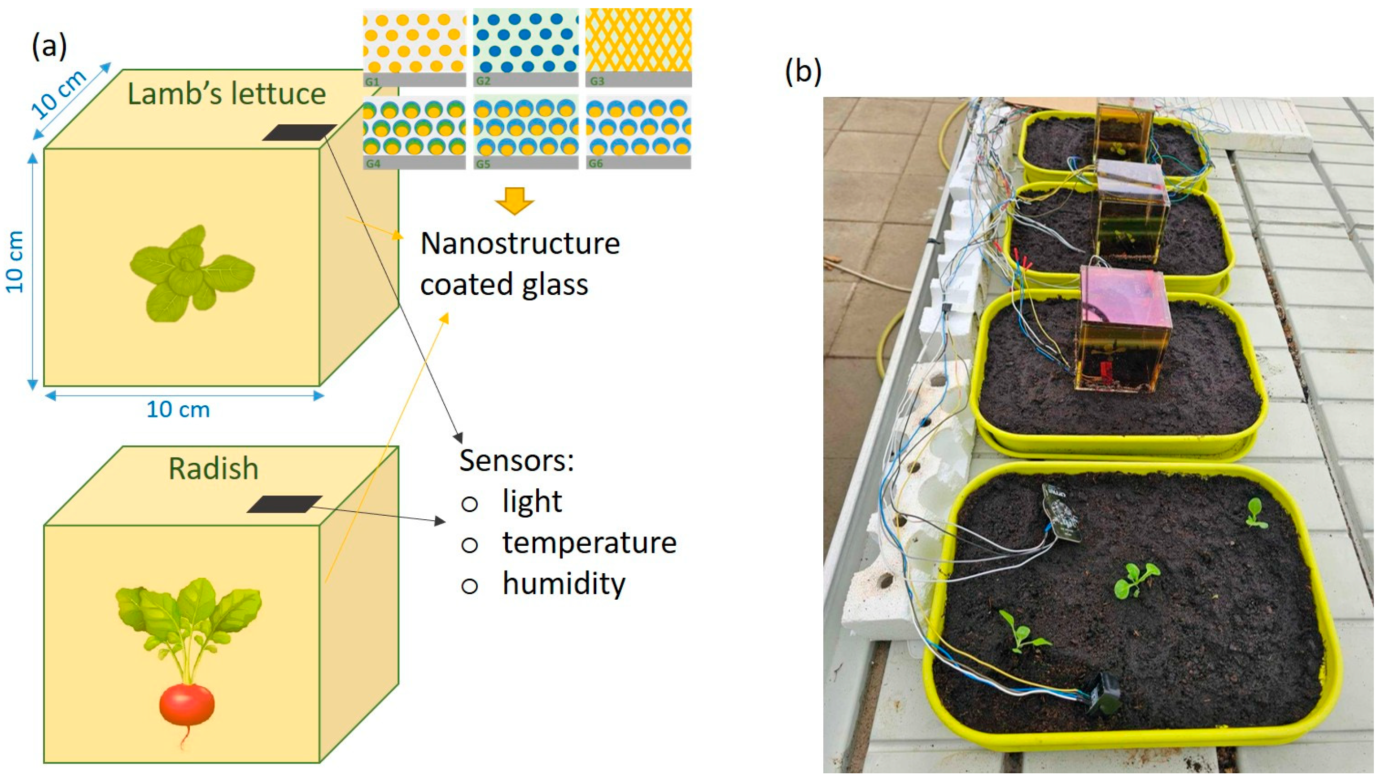 Agronomy 15 02559 g002 Agronomy 15 02559 g002