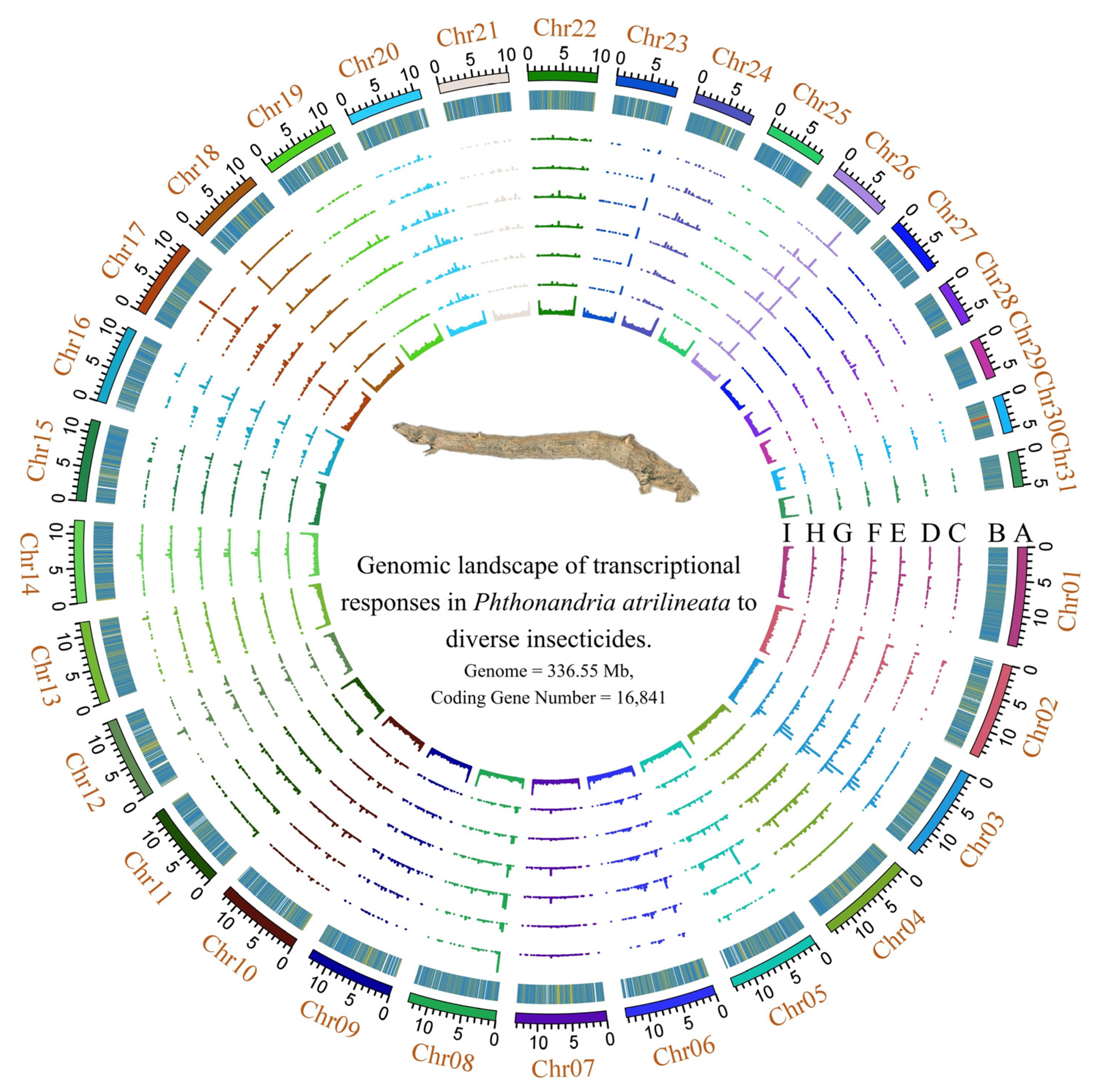 Agronomy 15 02561 g001 Agronomy 15 02561 g001