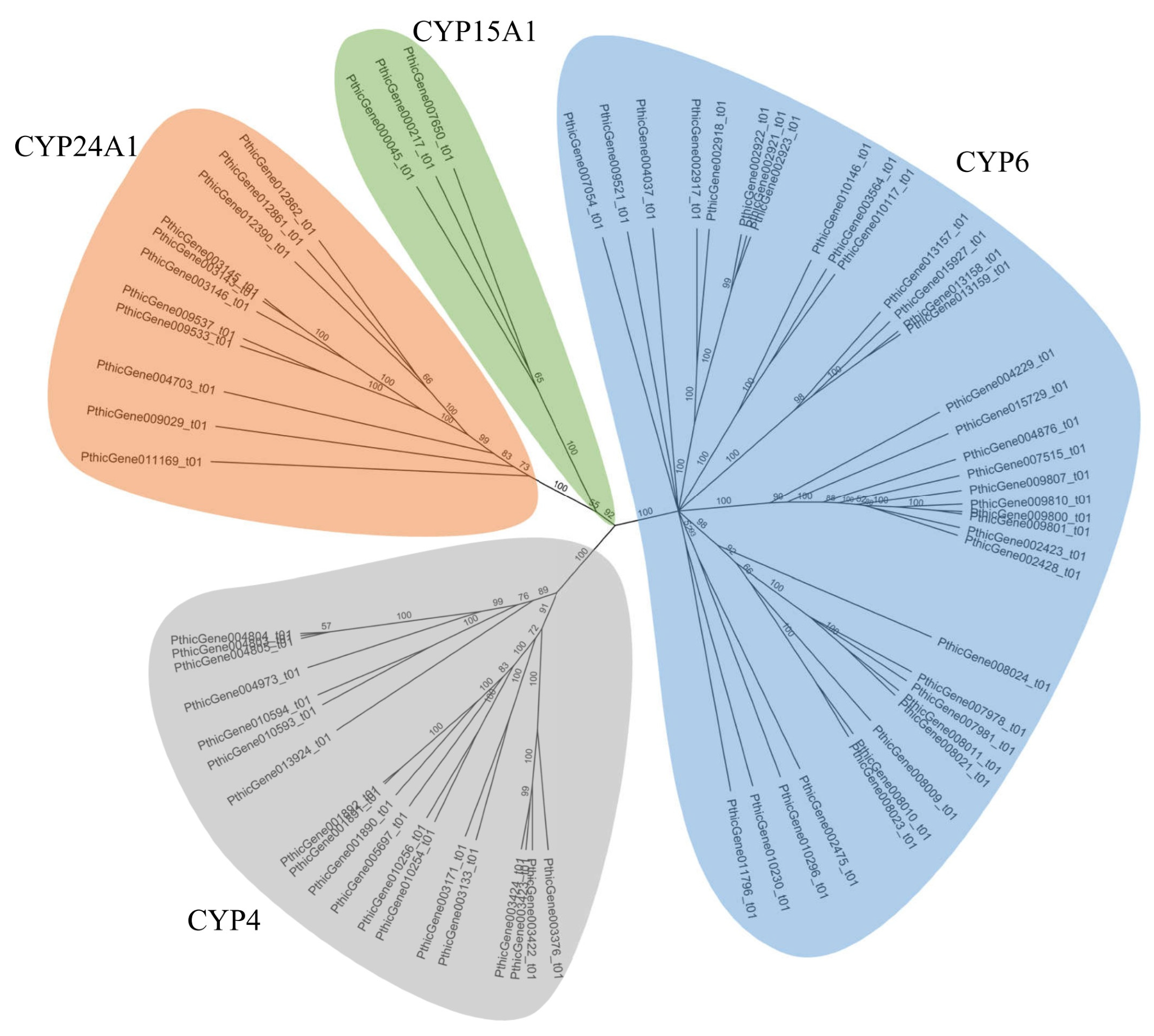 Agronomy 15 02561 g004 Agronomy 15 02561 g004