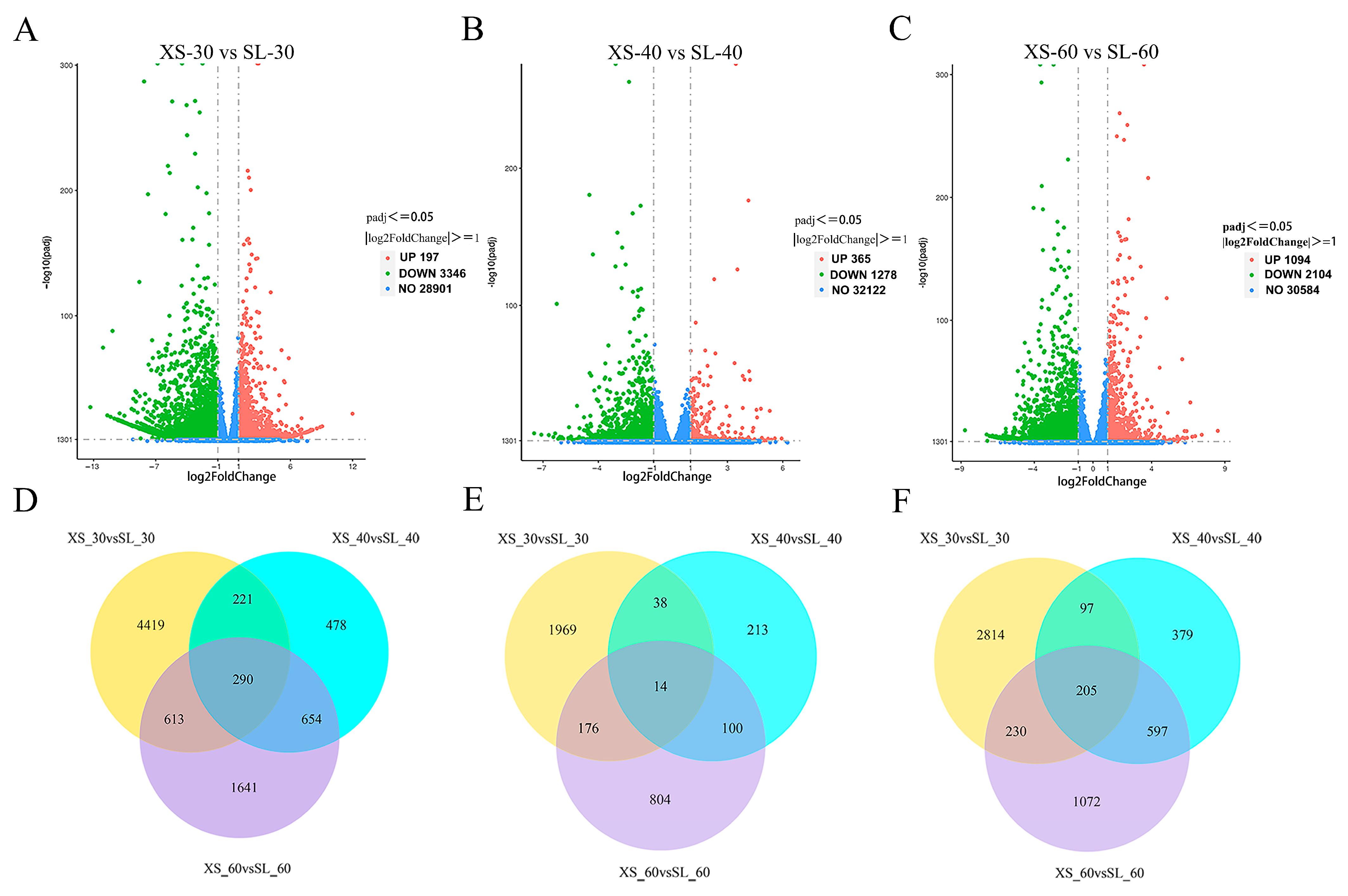 Agronomy 15 02564 g004