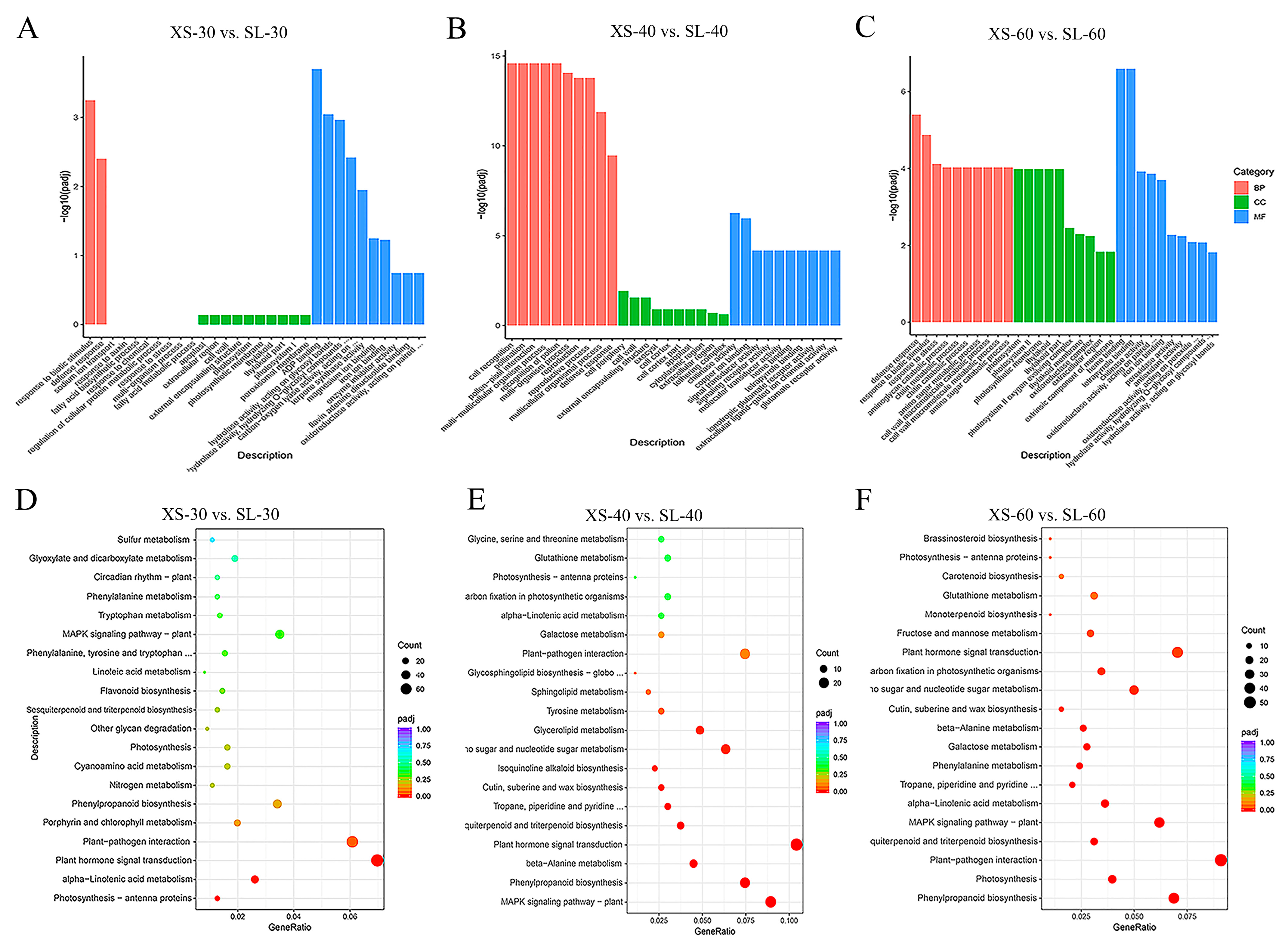 Agronomy 15 02564 g005
