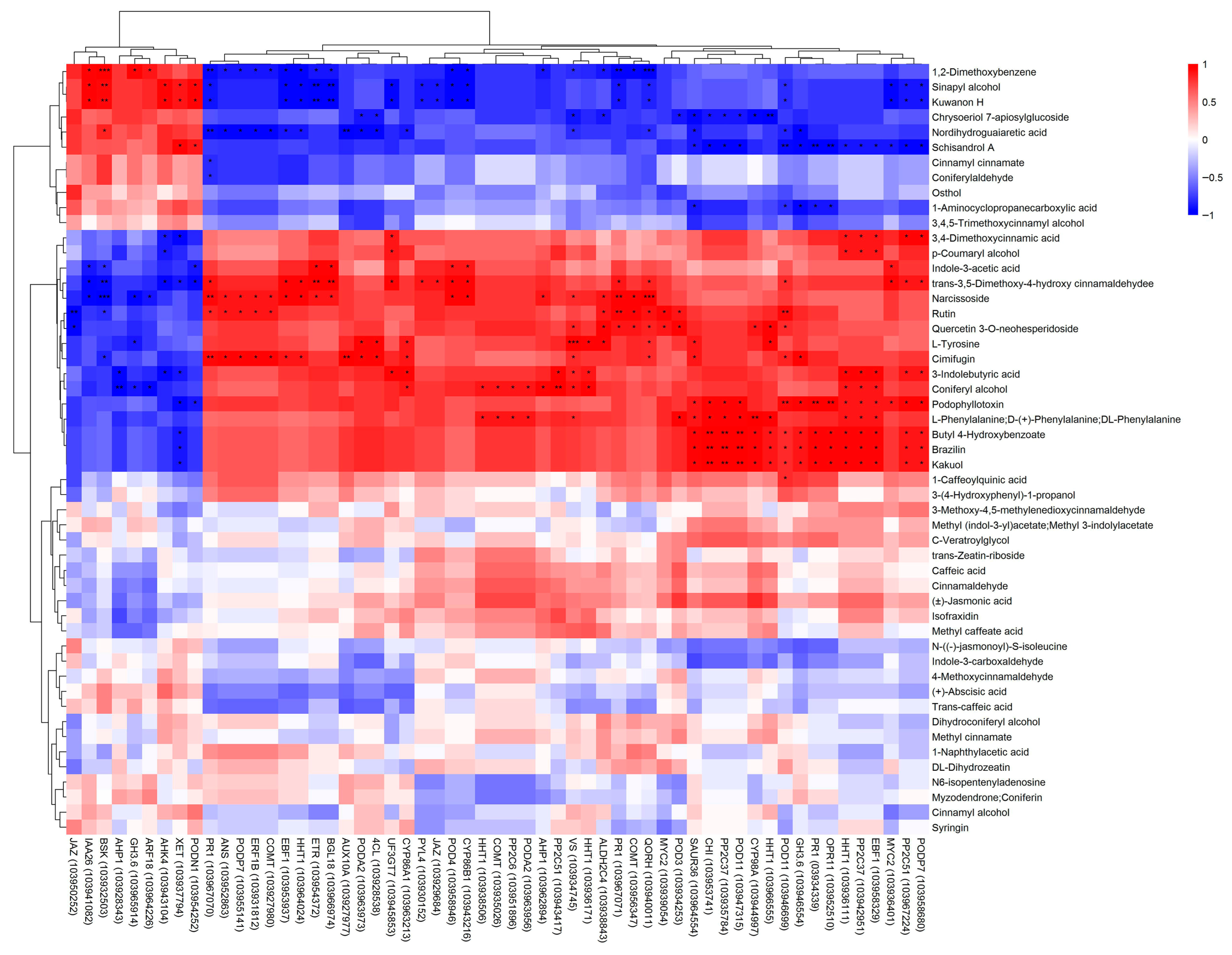 Agronomy 15 02564 g006