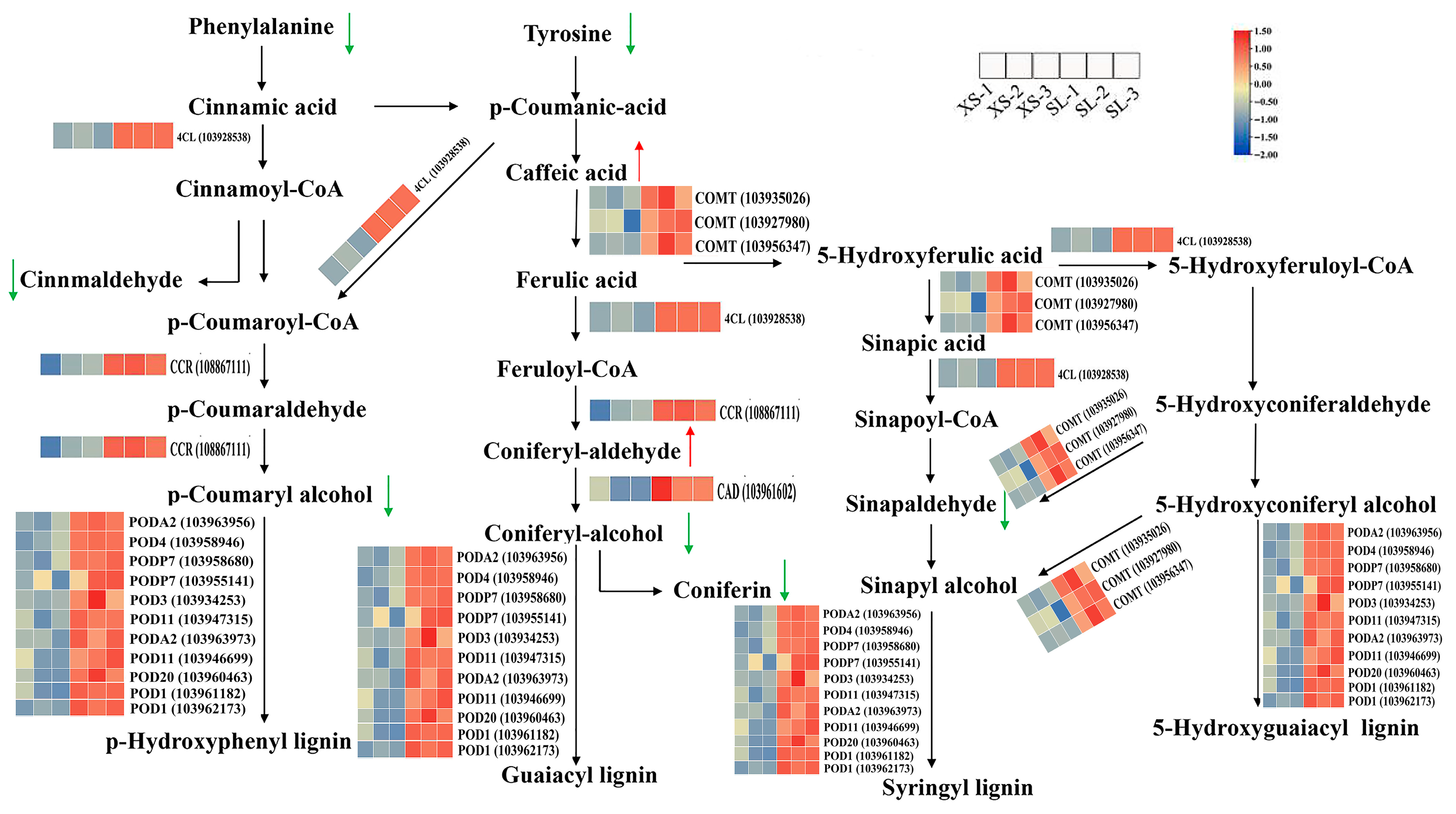 Agronomy 15 02564 g007