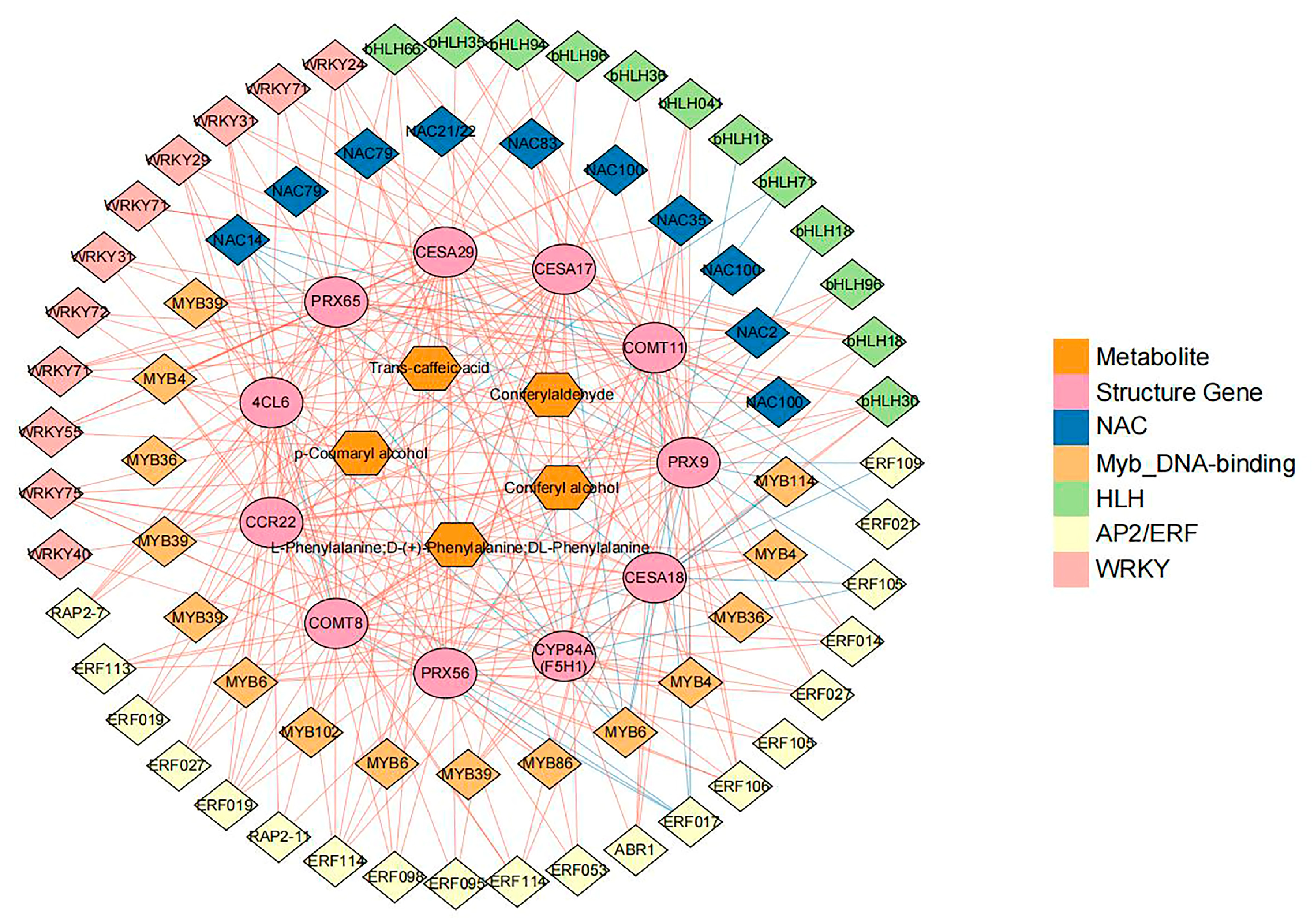 Agronomy 15 02564 g008