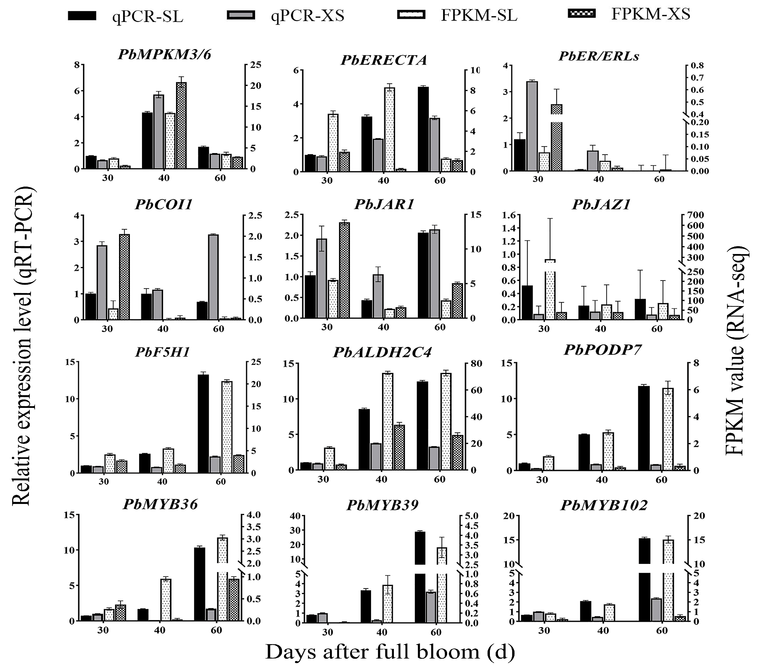 Agronomy 15 02564 g009