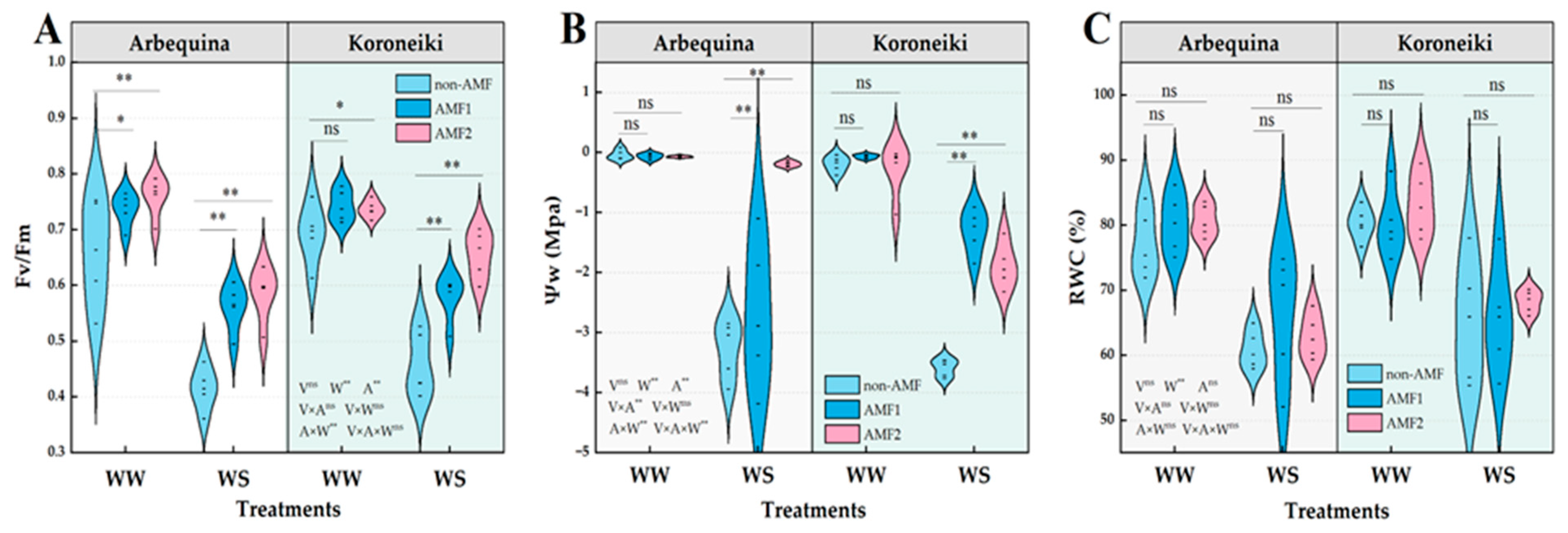 Agronomy 15 02568 g003